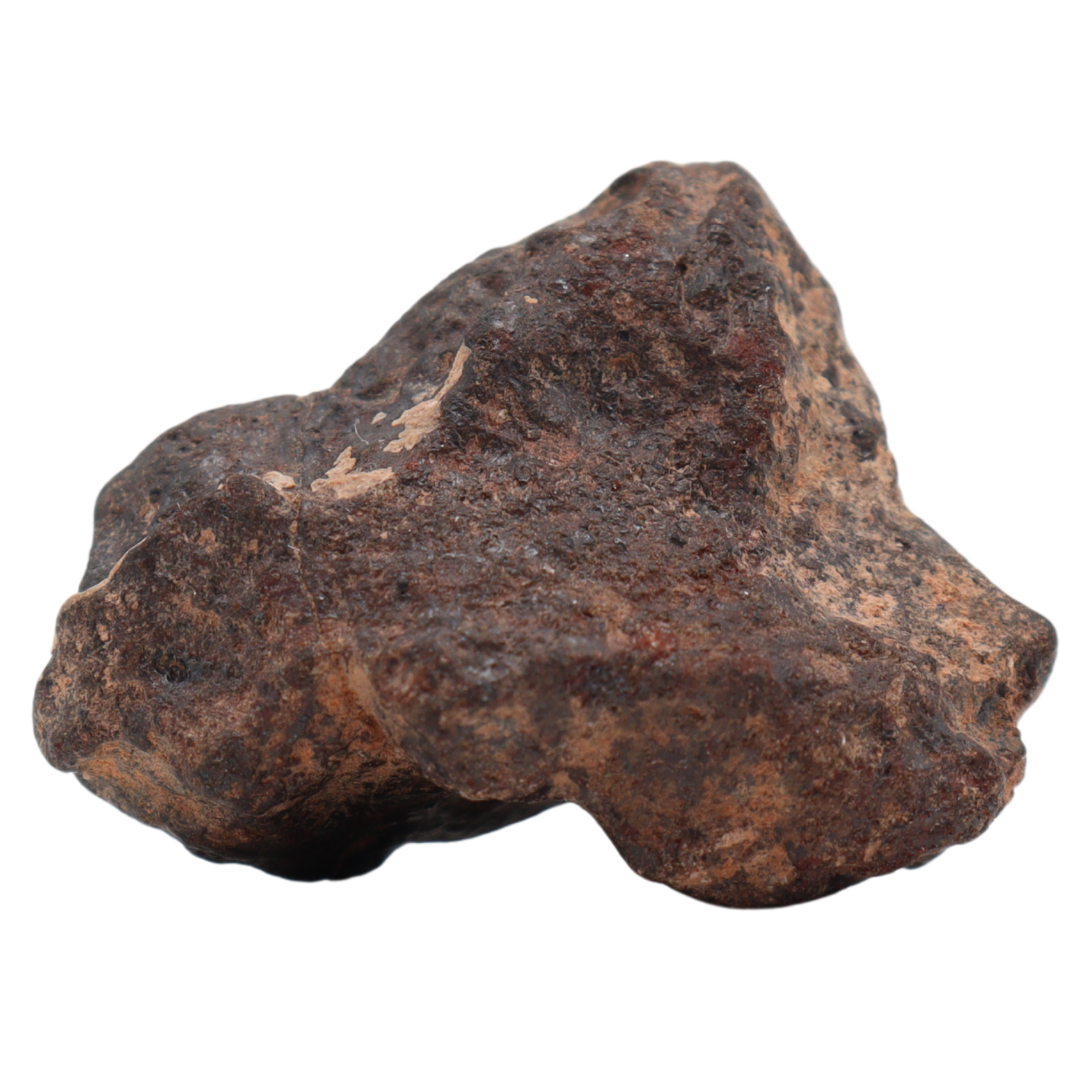 Rafsa 007 Meteorite Plutonic Angrite (13 g). - MBS meteorite 