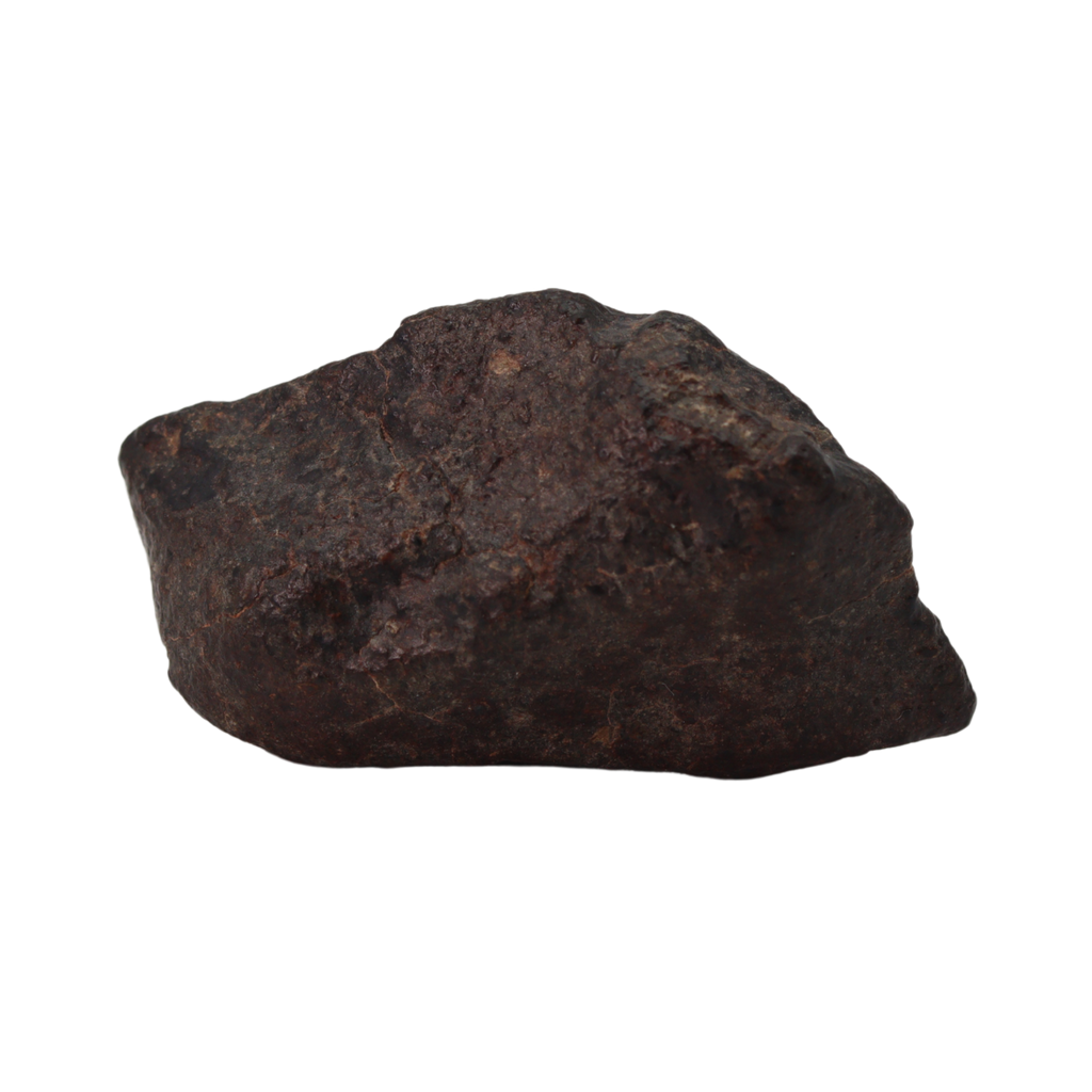 NWA 869 Meteorite Ordinary Chondrite Regolith Breccia (24.00 g). - MBS meteorite 