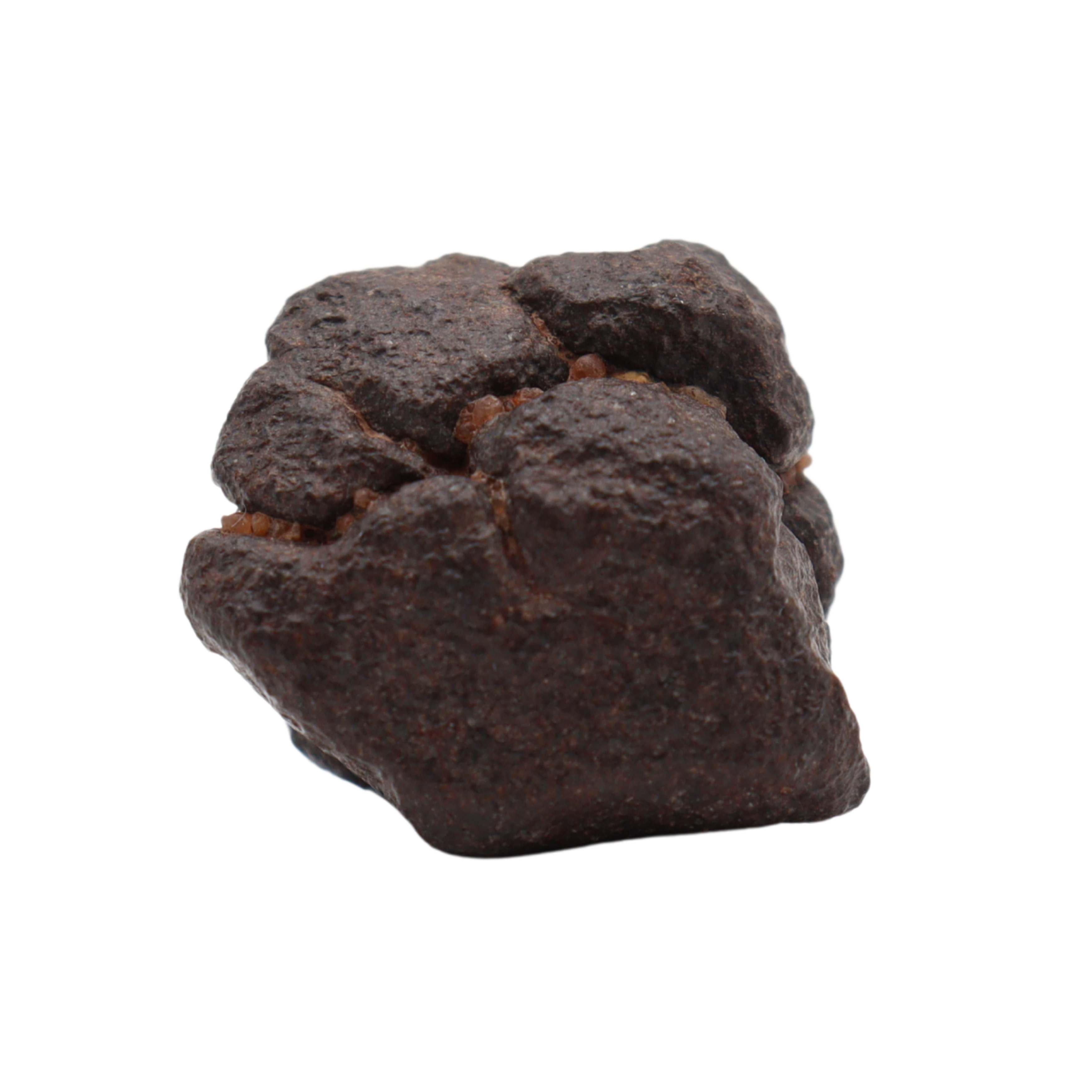 NWA 16208 Meteorite Winonaite Primitive Achondrite (8.66 g). - MBS meteorite 