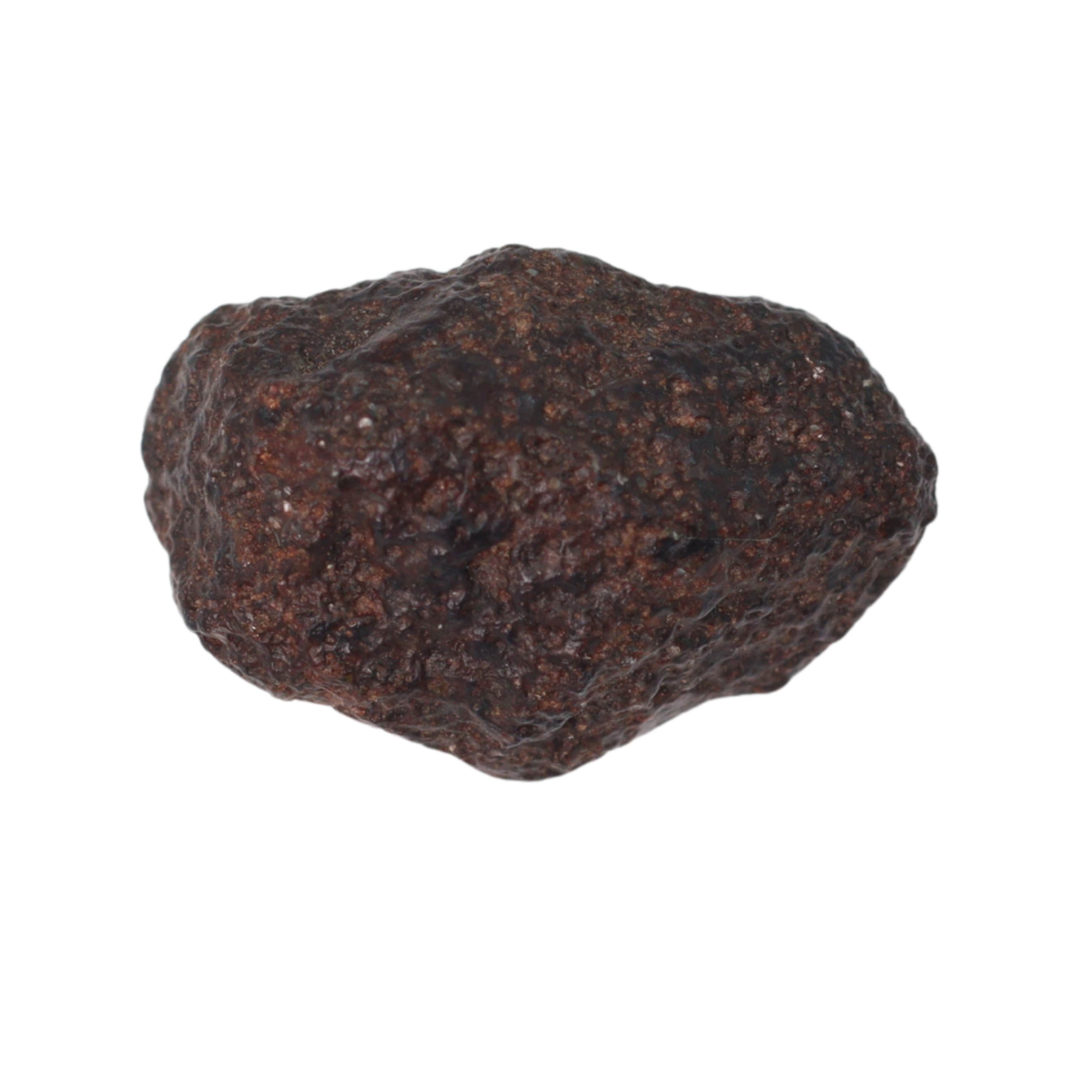 NWA 16208 Meteorite Winonaite Primitive Achondrite (1 g). - MBS meteorite 