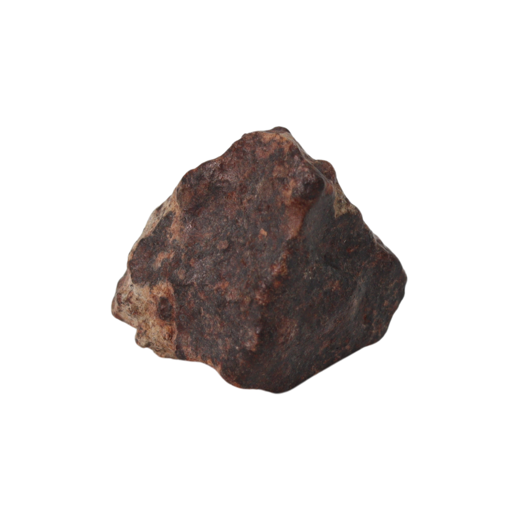 NWA 869 Meteorite Ordinary Chondrite Regolith Breccia (8.64 g) - MBS meteorite 
