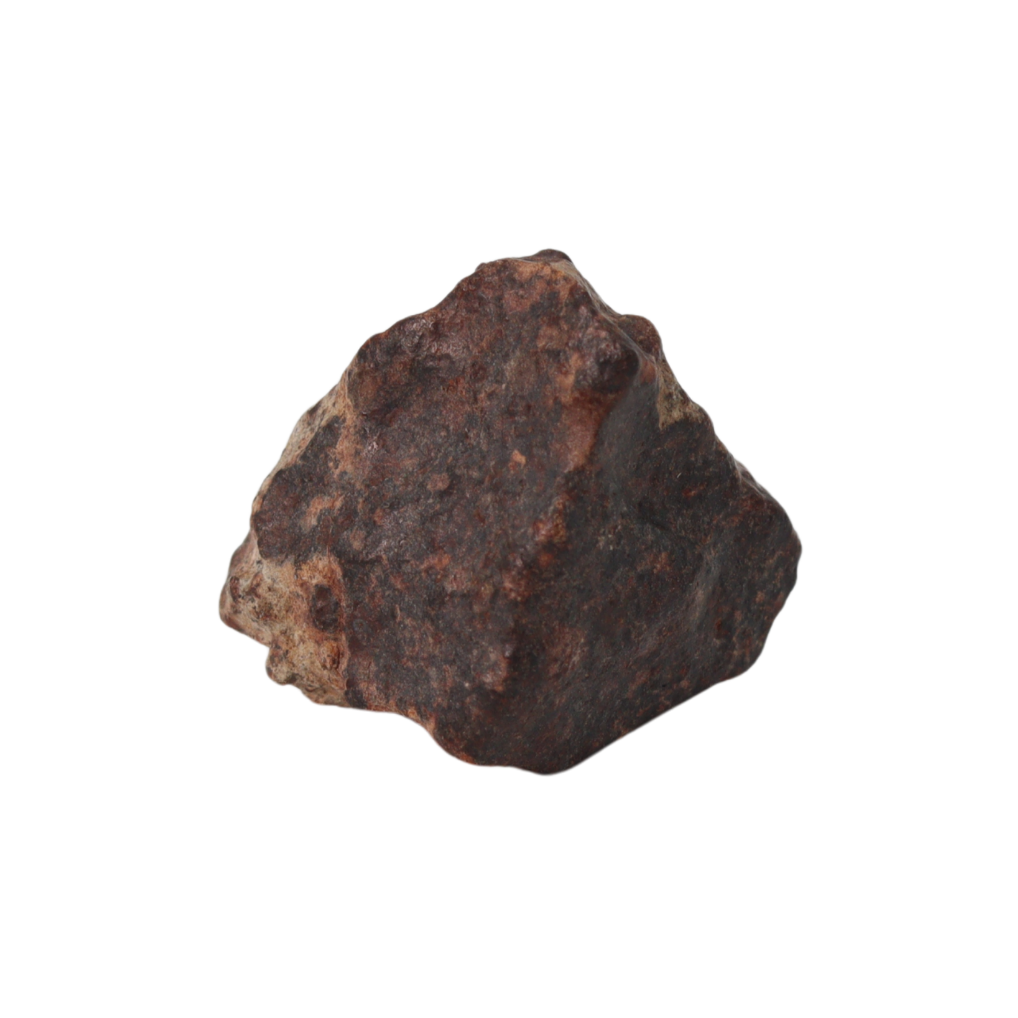 NWA 869 Meteorite Ordinary Chondrite Regolith Breccia (8.64 g) - MBS meteorite 