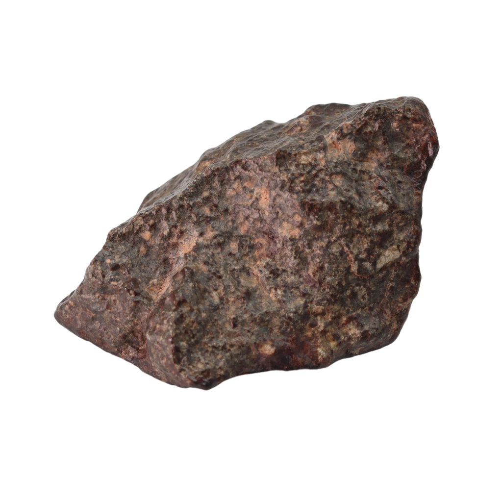 NWA 869 Meteorite L3-6 Regolith Breccia (23.69 g). - MBS meteorite 