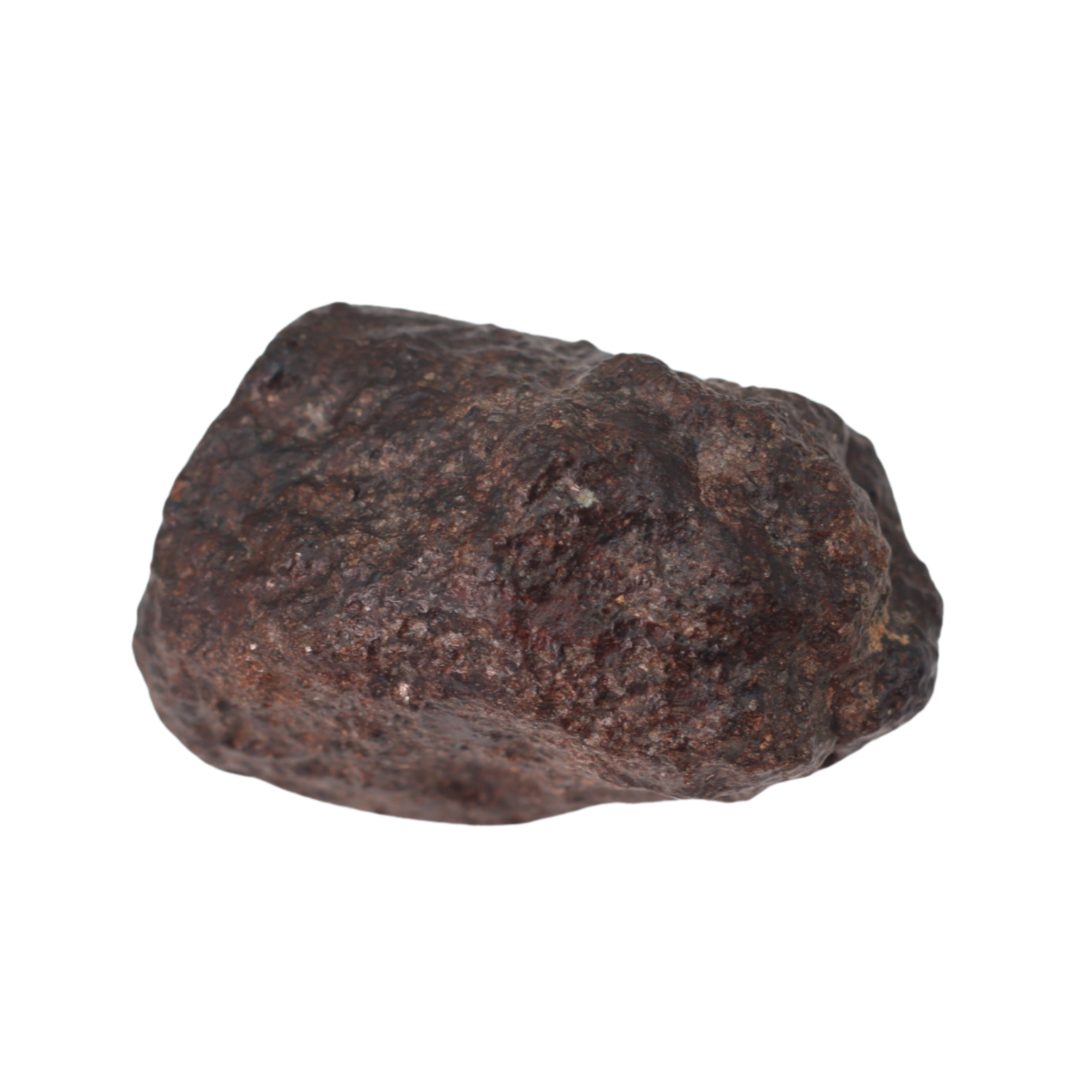 NWA 16208 Meteorite - Winonaite (4.41 g). - MBS meteorite 