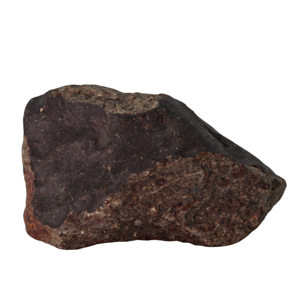 NWA 13281 Meteorite L5 Chondrite (110 g). - MBS meteorite 