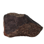NWA 13281 Meteorite L5 Chondrite (110 g). - MBS meteorite 
