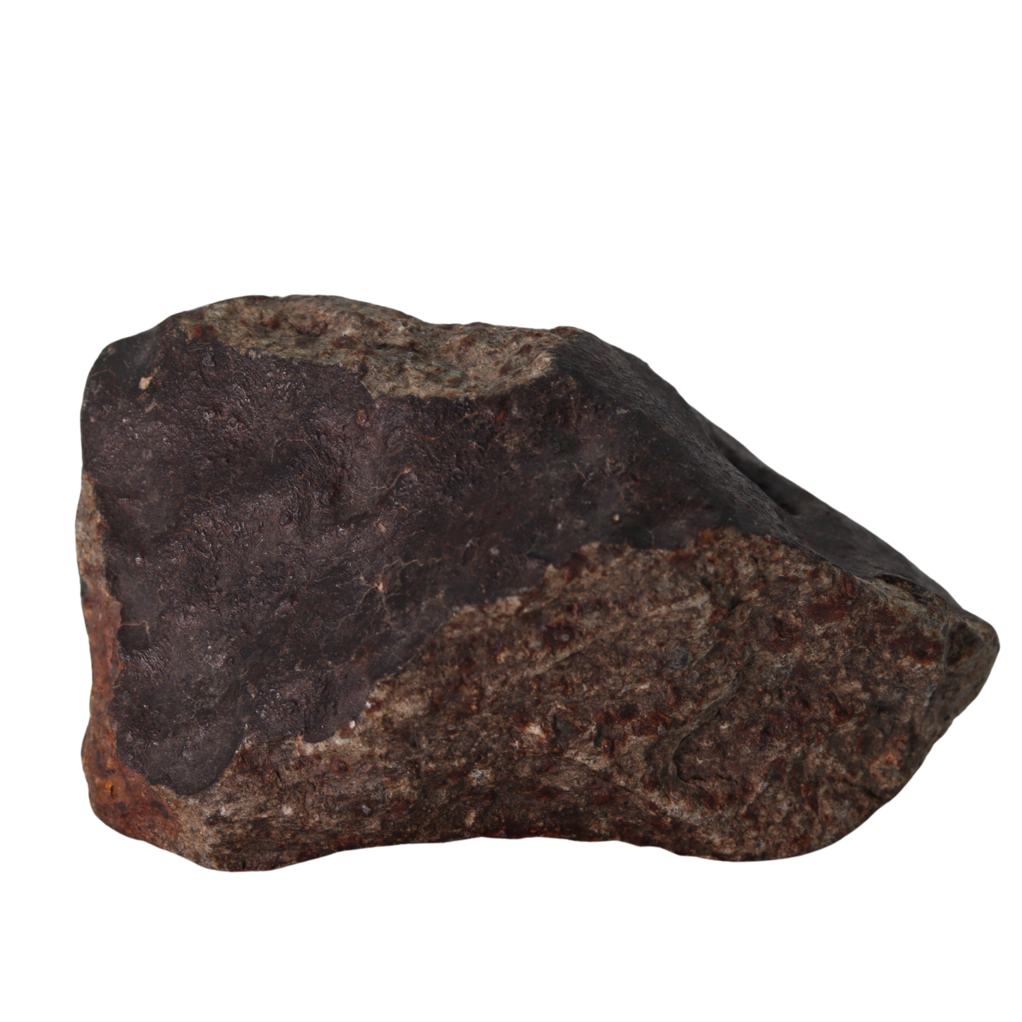 NWA 13281 Meteorite L5 Chondrite (110 g). - MBS meteorite 