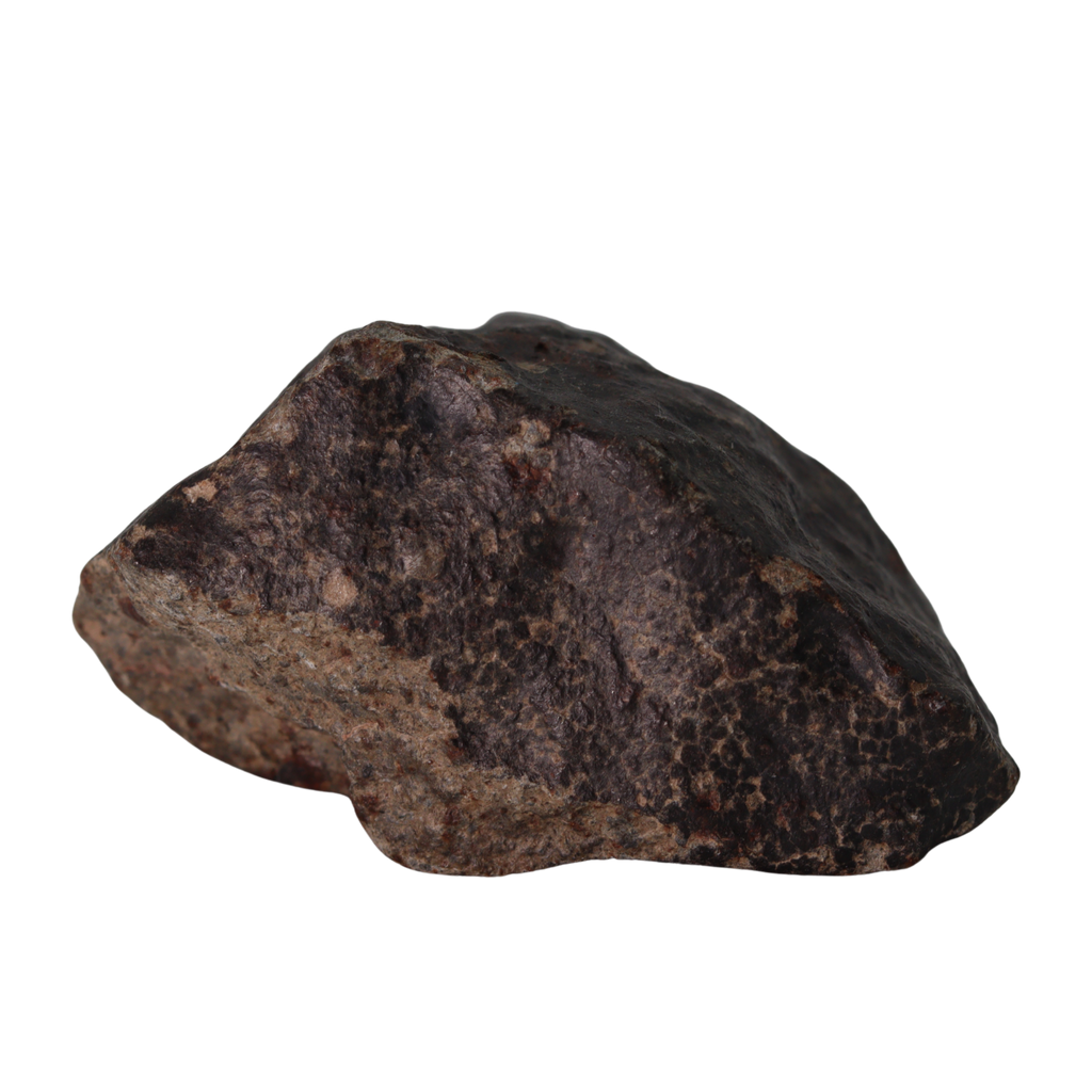 NWA 13281 Meteorite L5 Chondrite with Fusion Crust (175 g). - MBS meteorite 