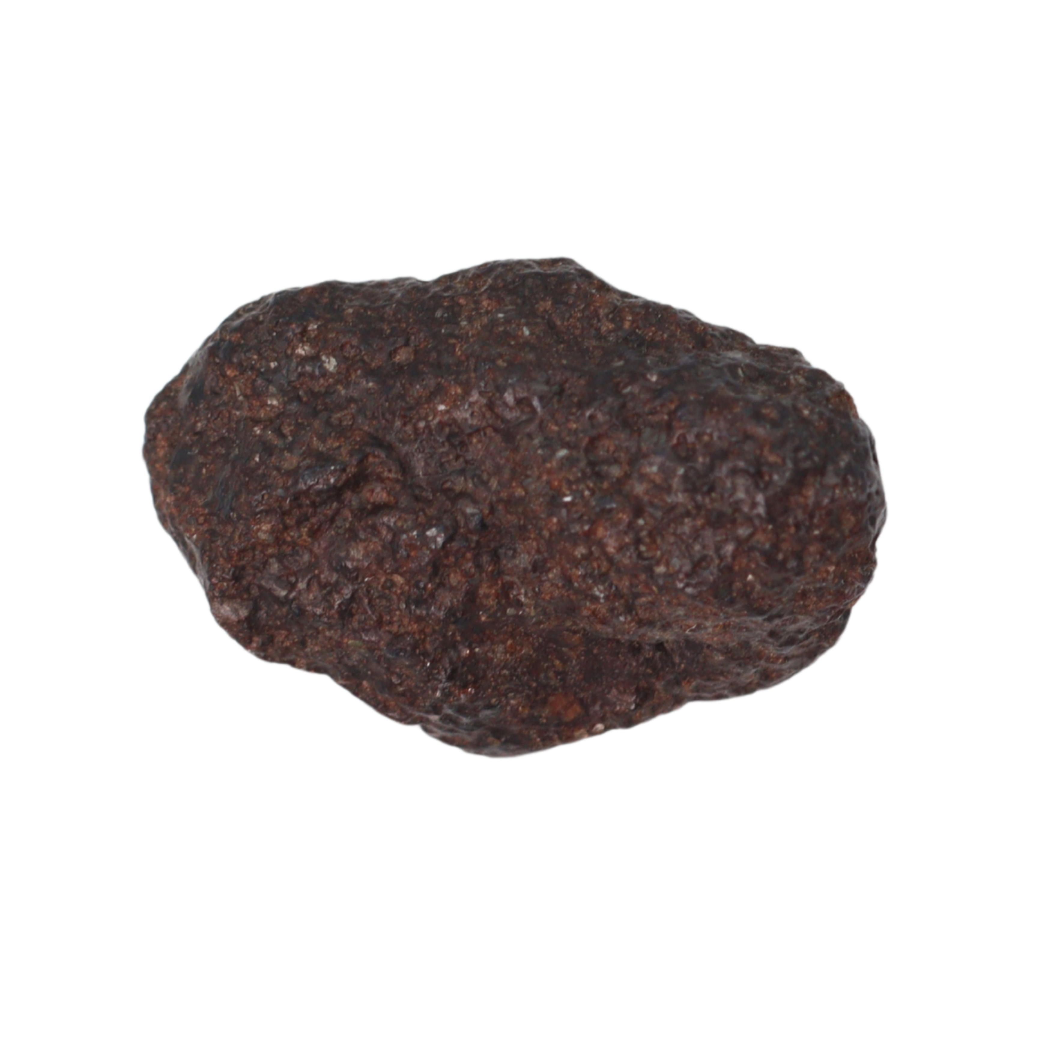 NWA 16208 Meteorite Winonaite Primitive Achondrite (1 g). - MBS meteorite 