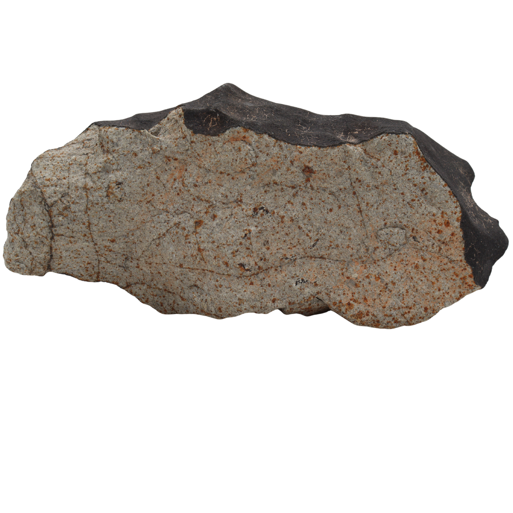 Tanezrouft 090 Meteorite Ordinary Chondrite L6 (1742 g) - MBS meteorite 