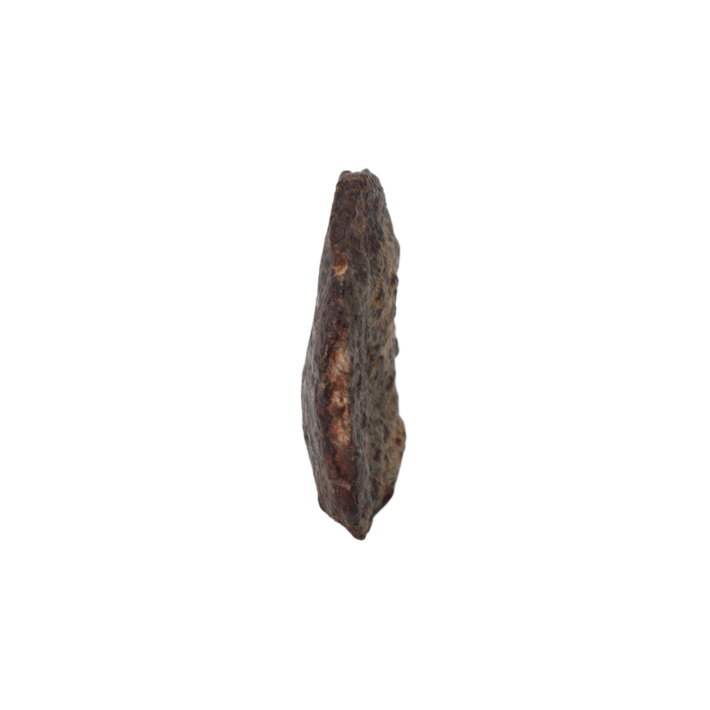 NWA 869 Meteorite Ordinary Chondrite Regolith Breccia (4.4 g) - MBS meteorite 