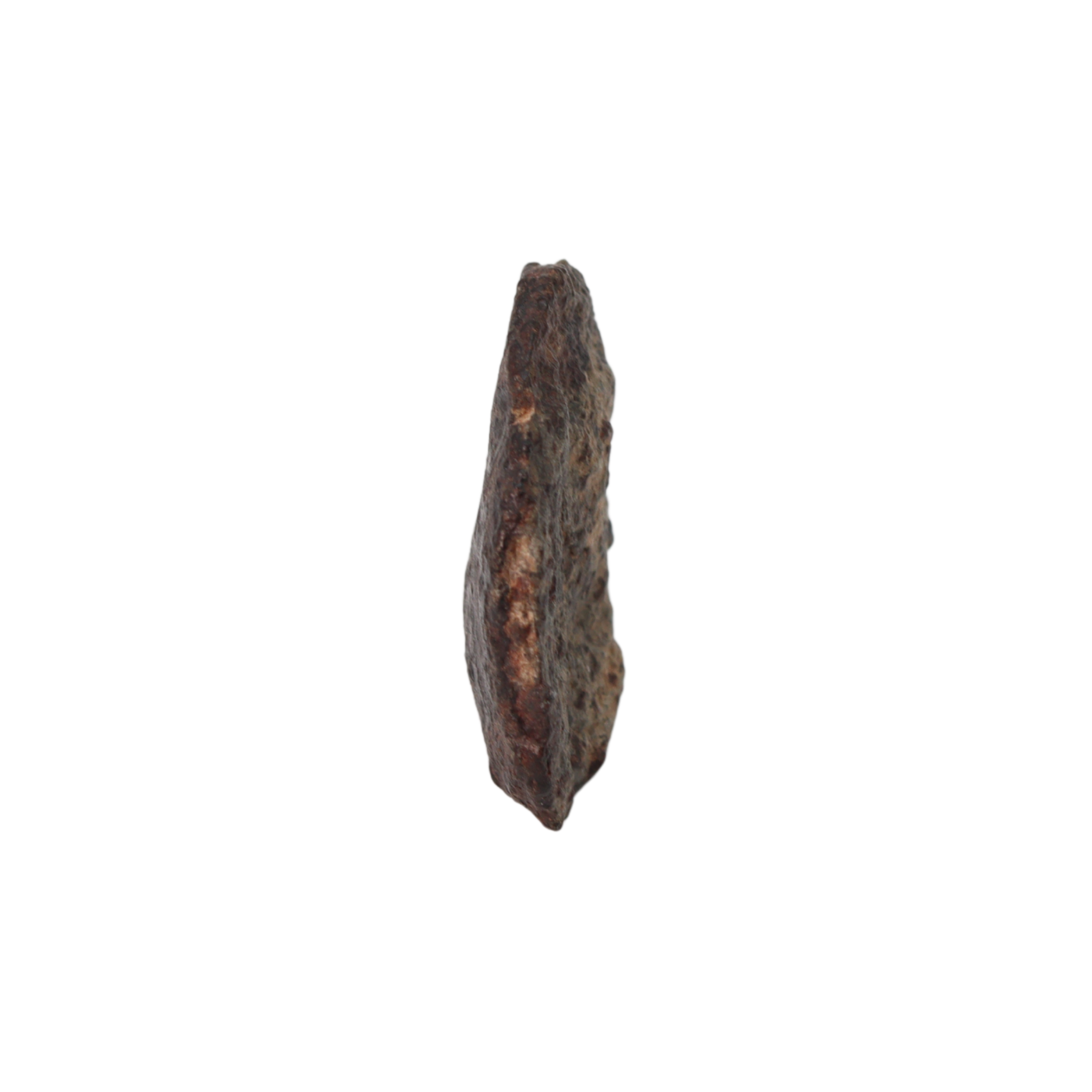 NWA 869 Meteorite Ordinary Chondrite Regolith Breccia (4.4 g) - MBS meteorite 