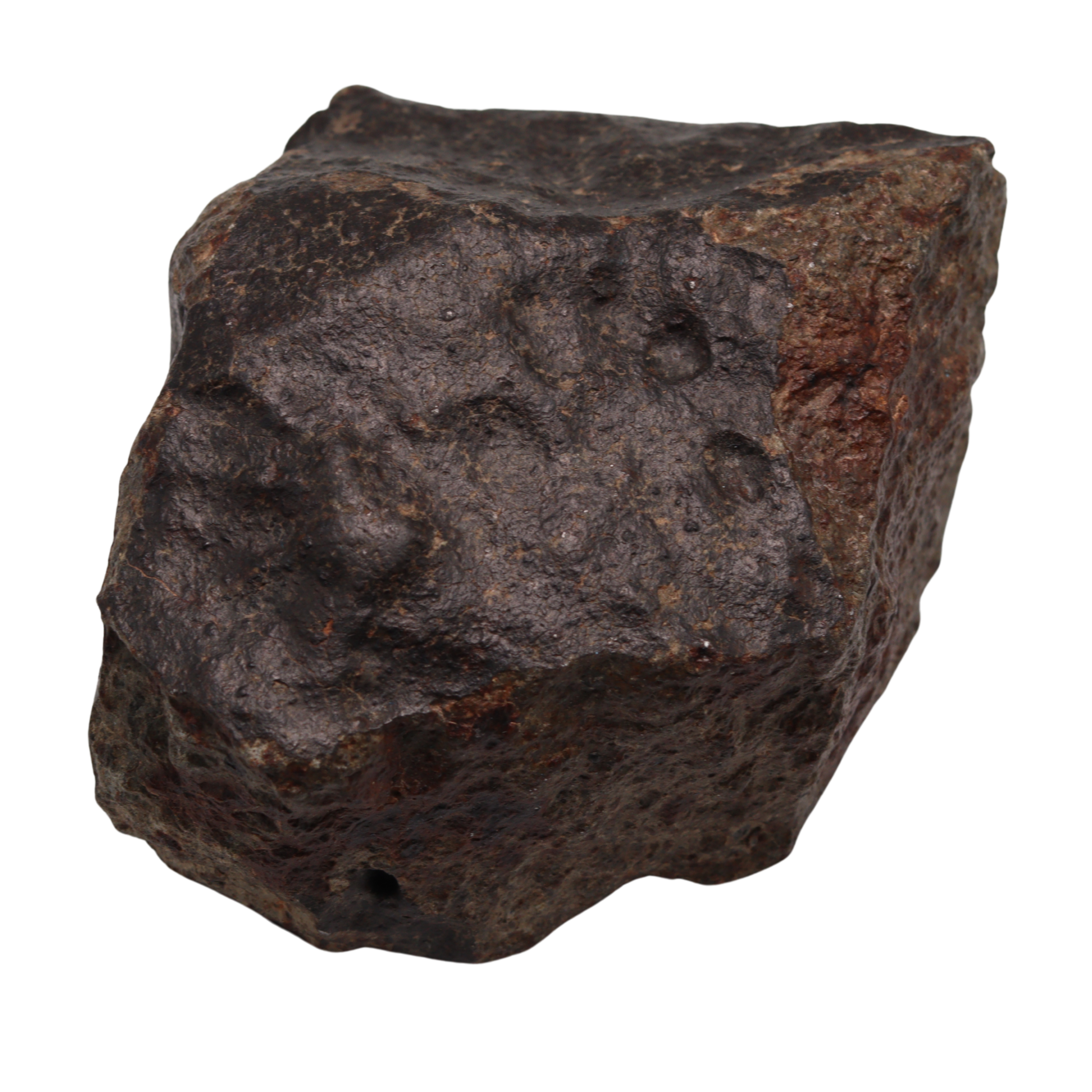 NWA 13281 Meteorite Massive L5 Chondrite Cabinet Specimen (781 g). - MBS meteorite 