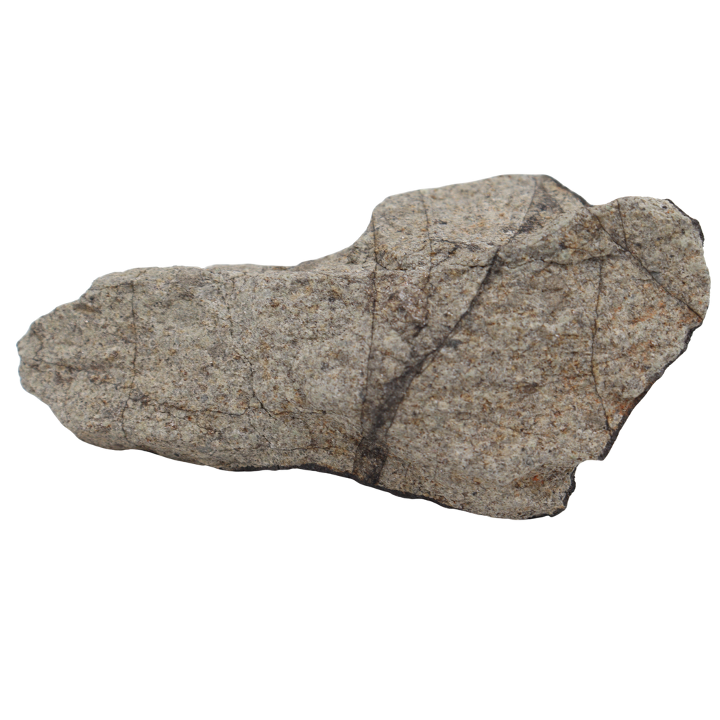 Tanezrouft 090 Meteorite Ordinary Chondrite L 103.46 g - MBS meteorite 