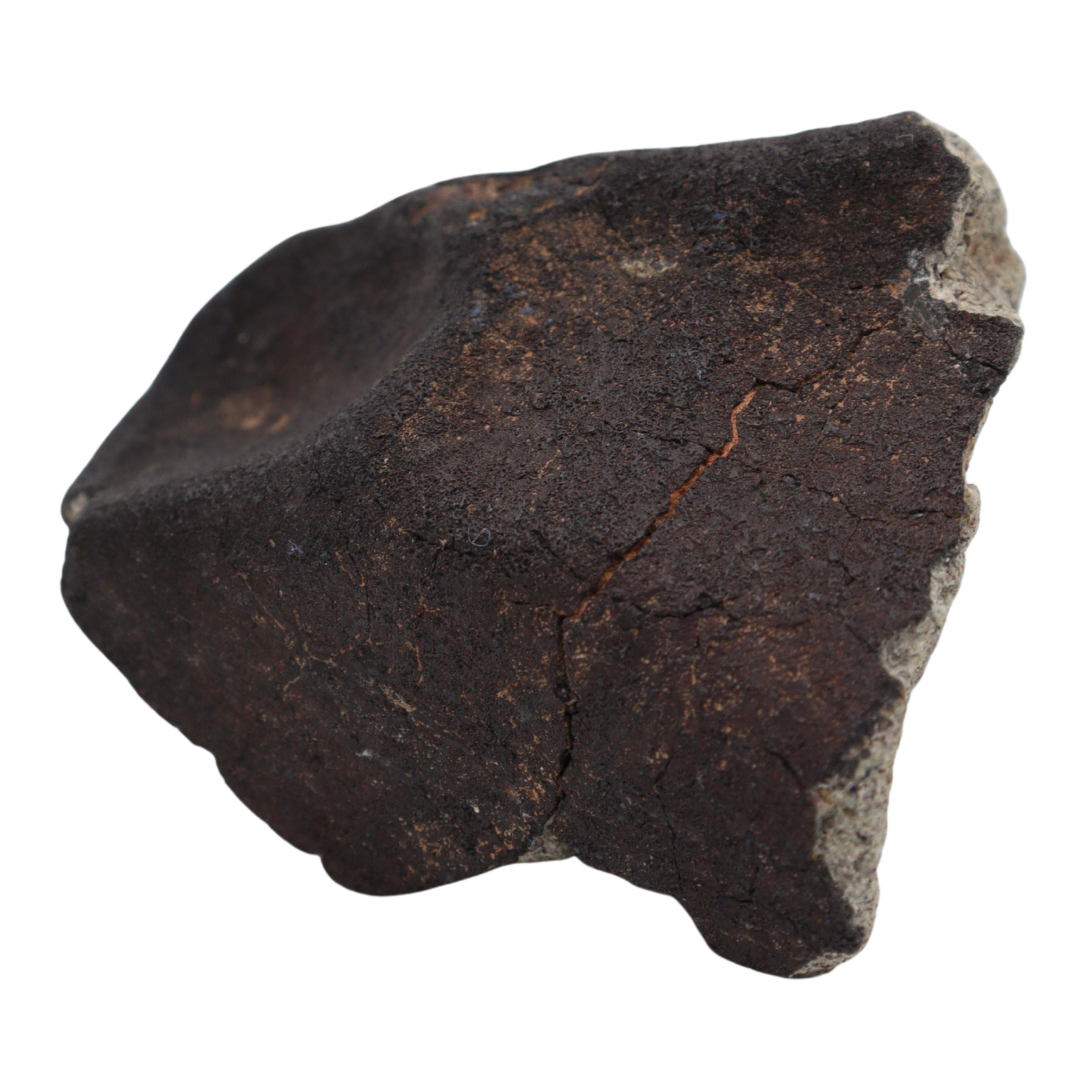 Tanezrouft 090 Meteorite Ordinary Chondrite L 103.46 g - MBS meteorite 