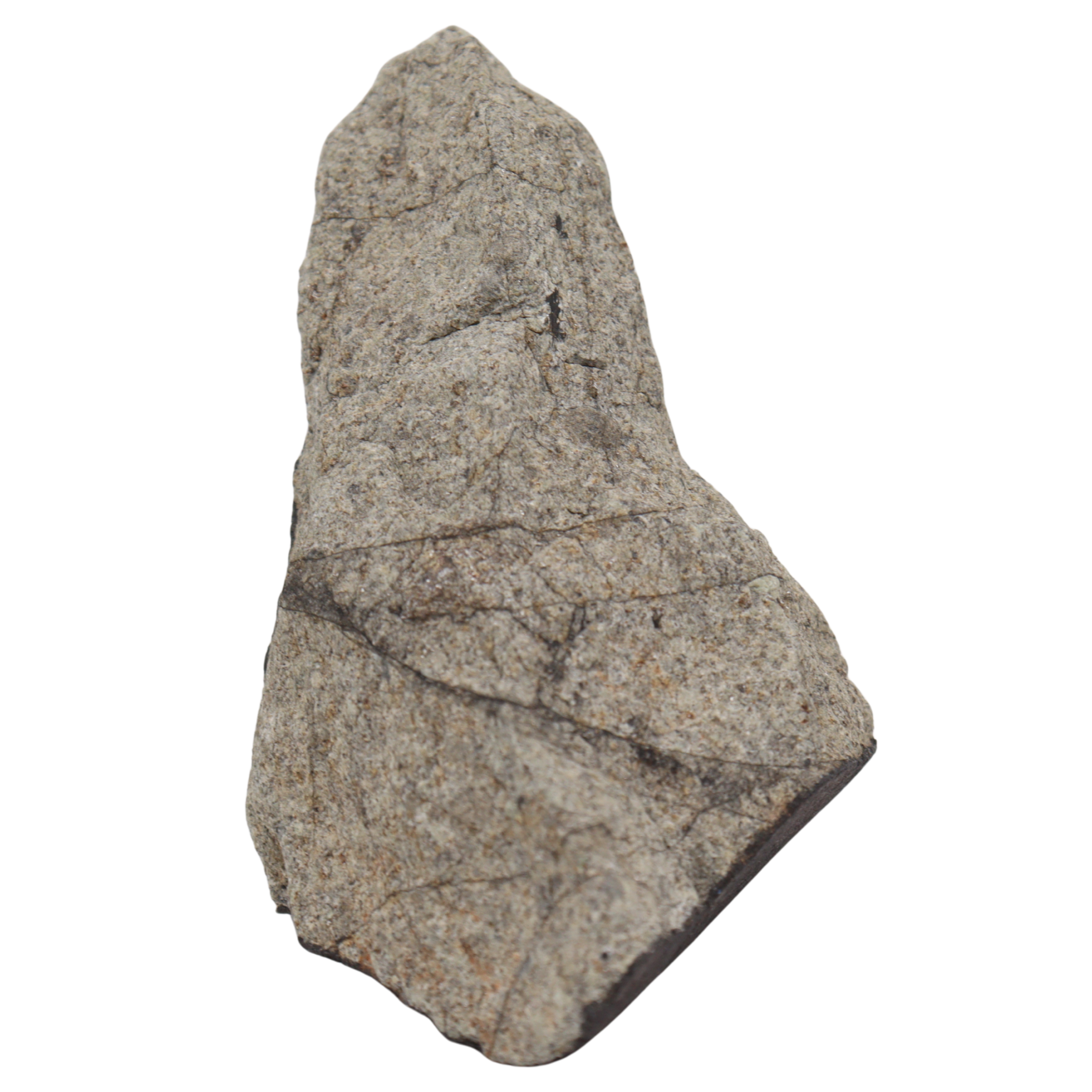 Tanezrouft 090 Meteorite Ordinary Chondrite L 103.46 g - MBS meteorite 