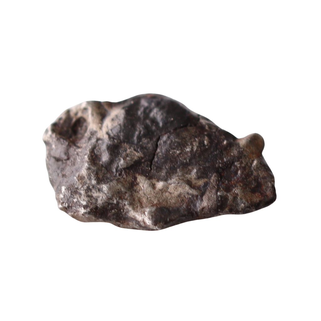 Close-up of rare MBS Meteorite Mdeïné 003 iron meteorite showcasing its metallic surface and natural crystalline texture.