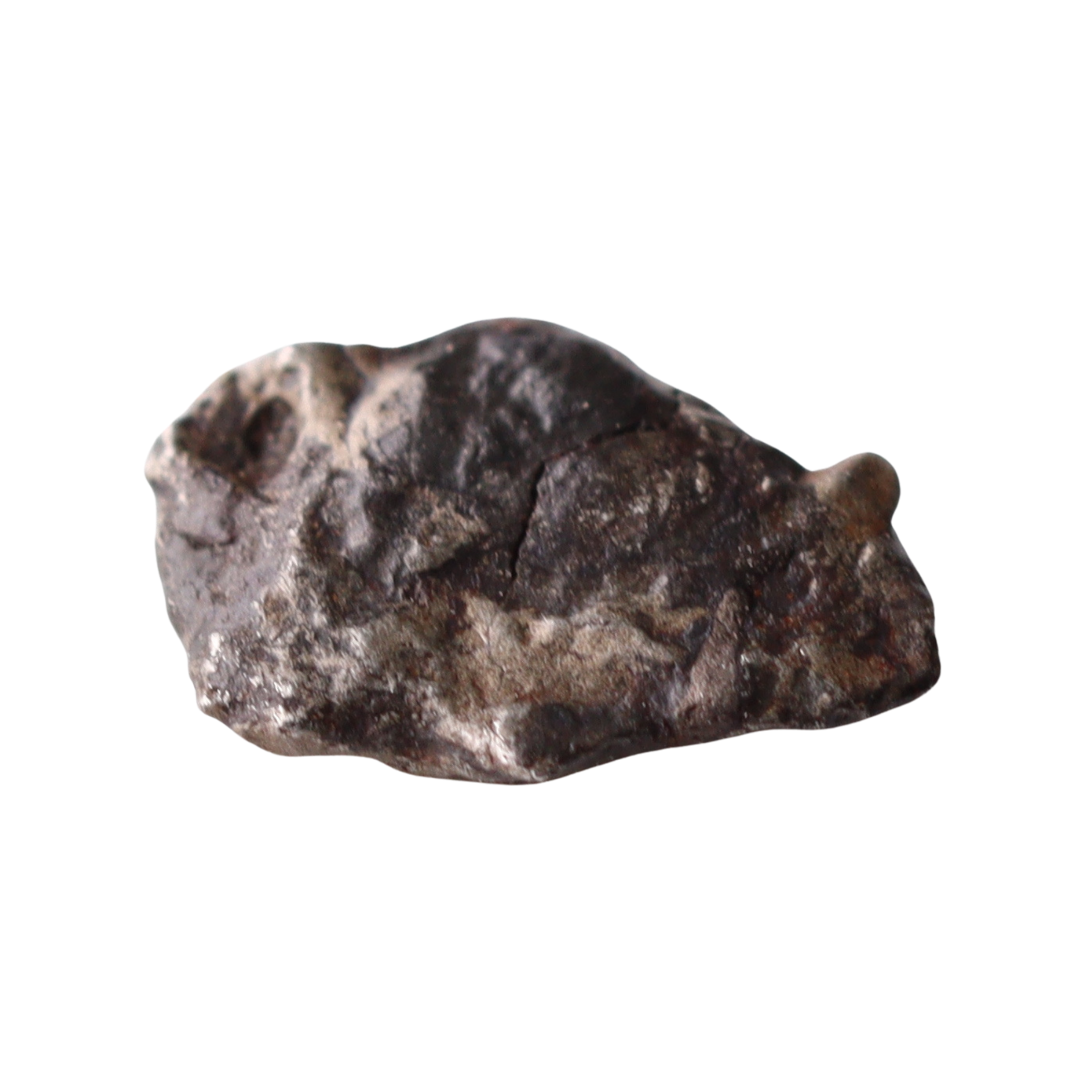 Close-up of rare MBS Meteorite Mdeïné 003 iron meteorite showcasing its metallic surface and natural crystalline texture.