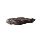 Rare MBS Meteorite Mdeïné 003 iron meteorite with unique ungrouped metallic surface, detailed texture and natural metallic luster.