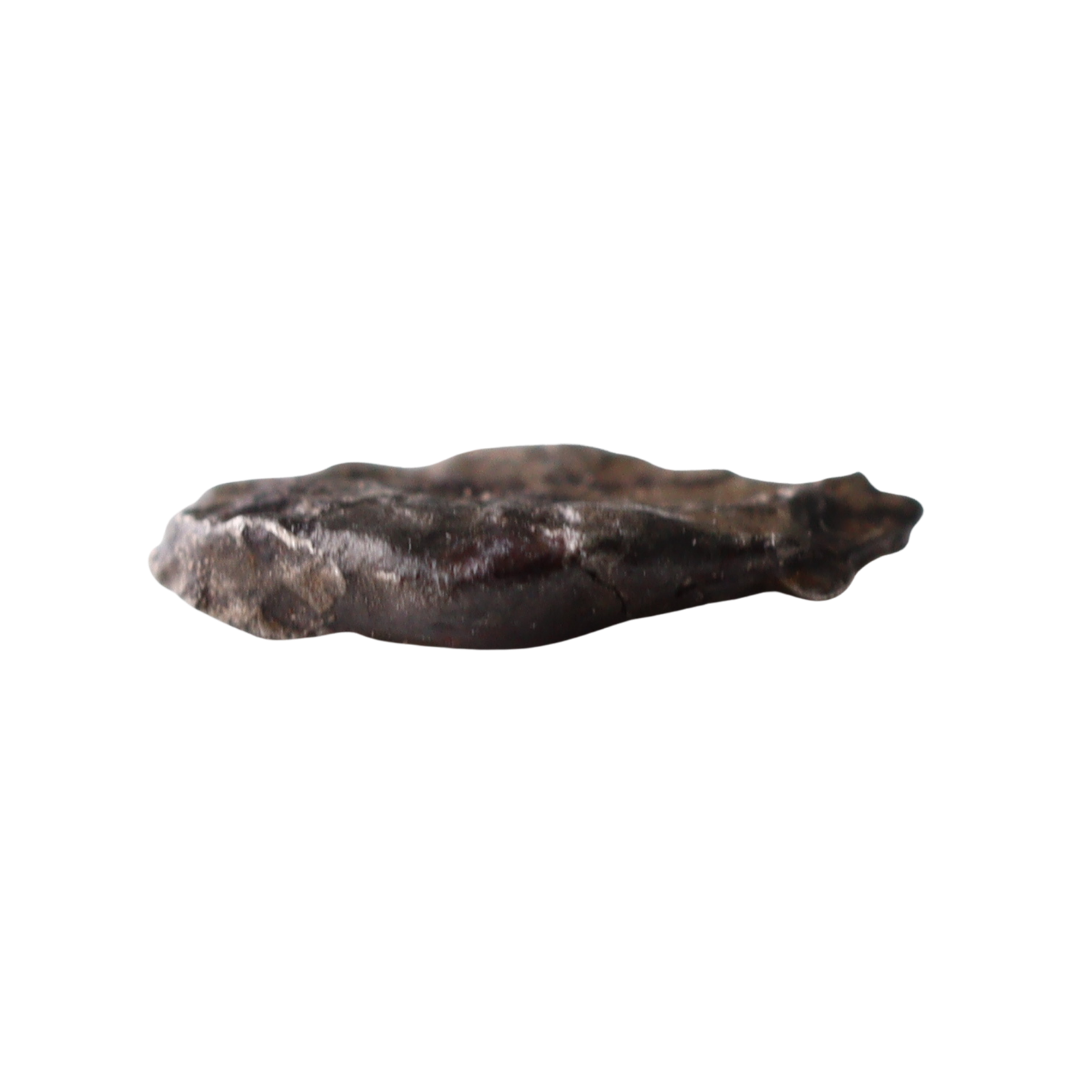 Rare MBS Meteorite Mdeïné 003 iron meteorite with unique ungrouped metallic surface, detailed texture and natural metallic luster.