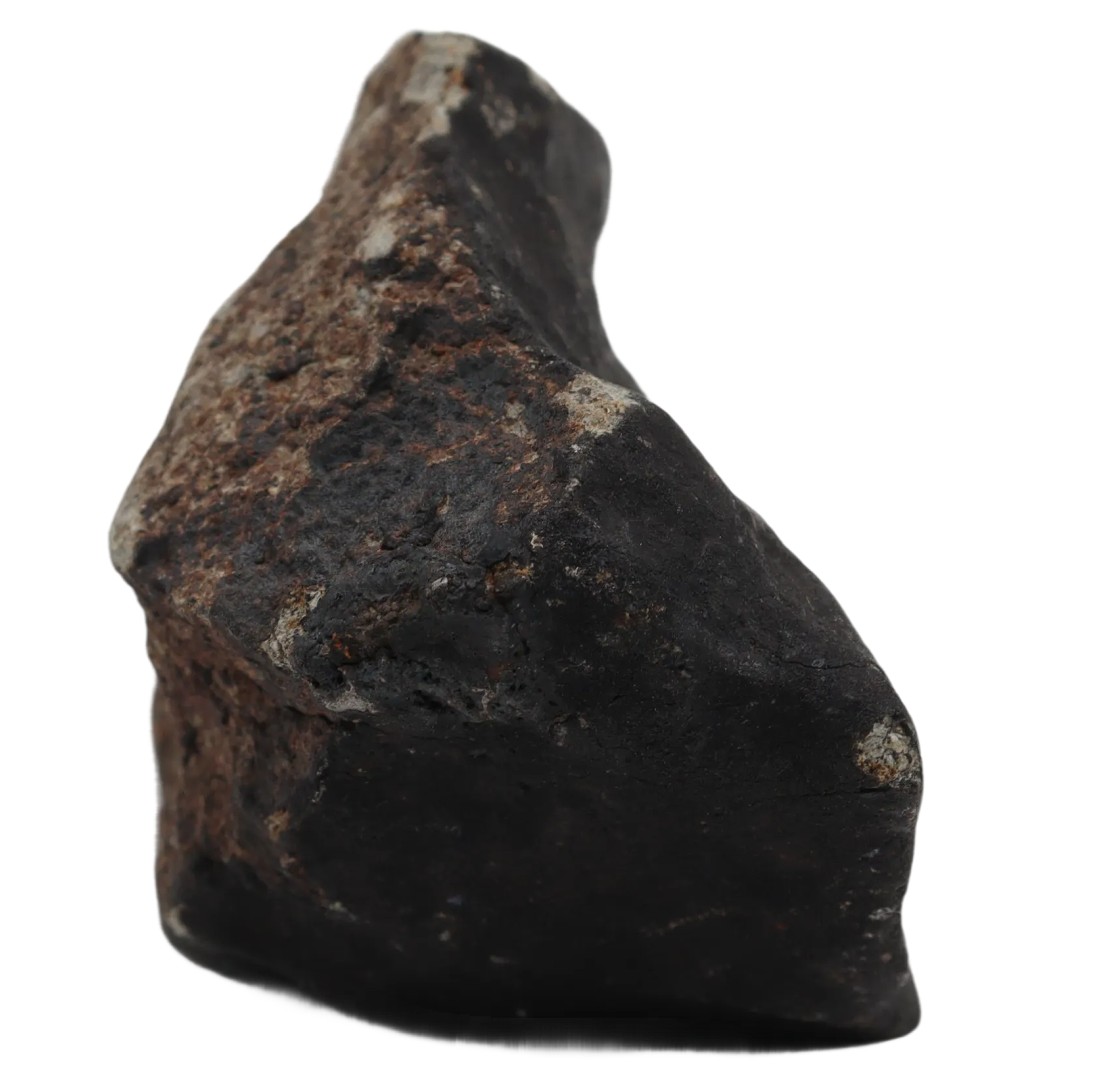 Ghadamis (194,33 g HAH 346) Ordinary Chondrite (L). - MBS meteorite 