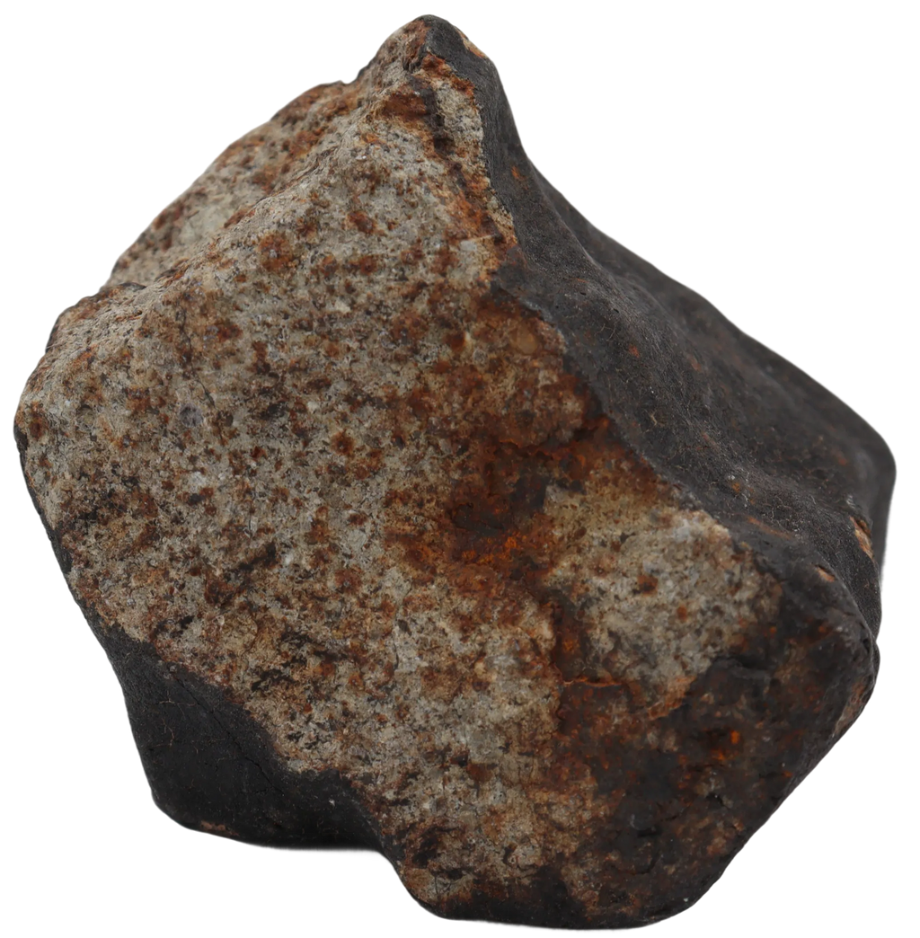 Ghadamis 214,92 g (HAH 346) Ordinary Chondrite (L). - MBS meteorite 