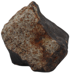 Ghadamis 214,92 g (HAH 346) Ordinary Chondrite (L). - MBS meteorite 