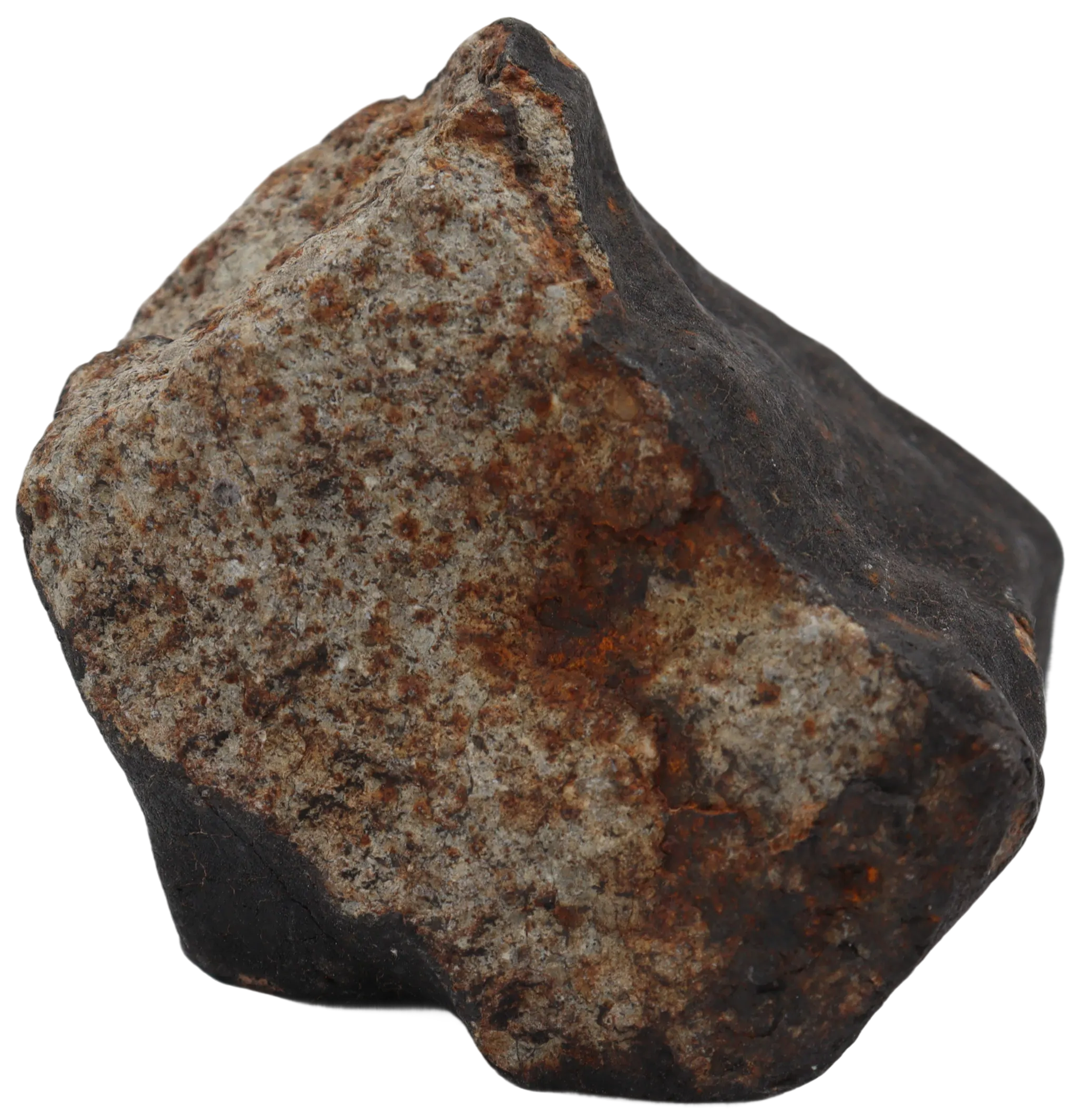 Ghadamis 214,92 g (HAH 346) Ordinary Chondrite (L). - MBS meteorite 