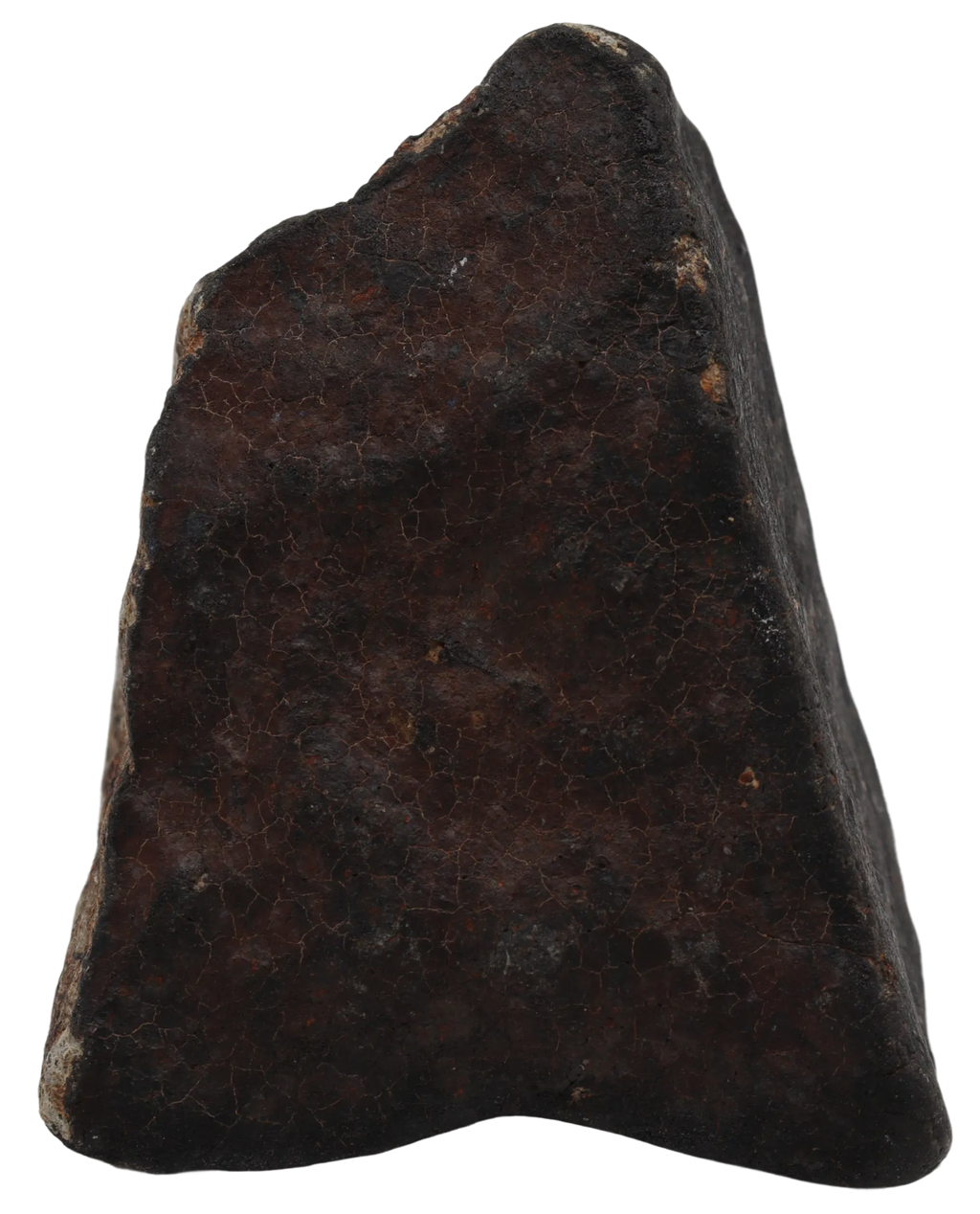 Ghadamis 247,18 g (HAH 346)  Ordinary Chondrite (L). - MBS meteorite 