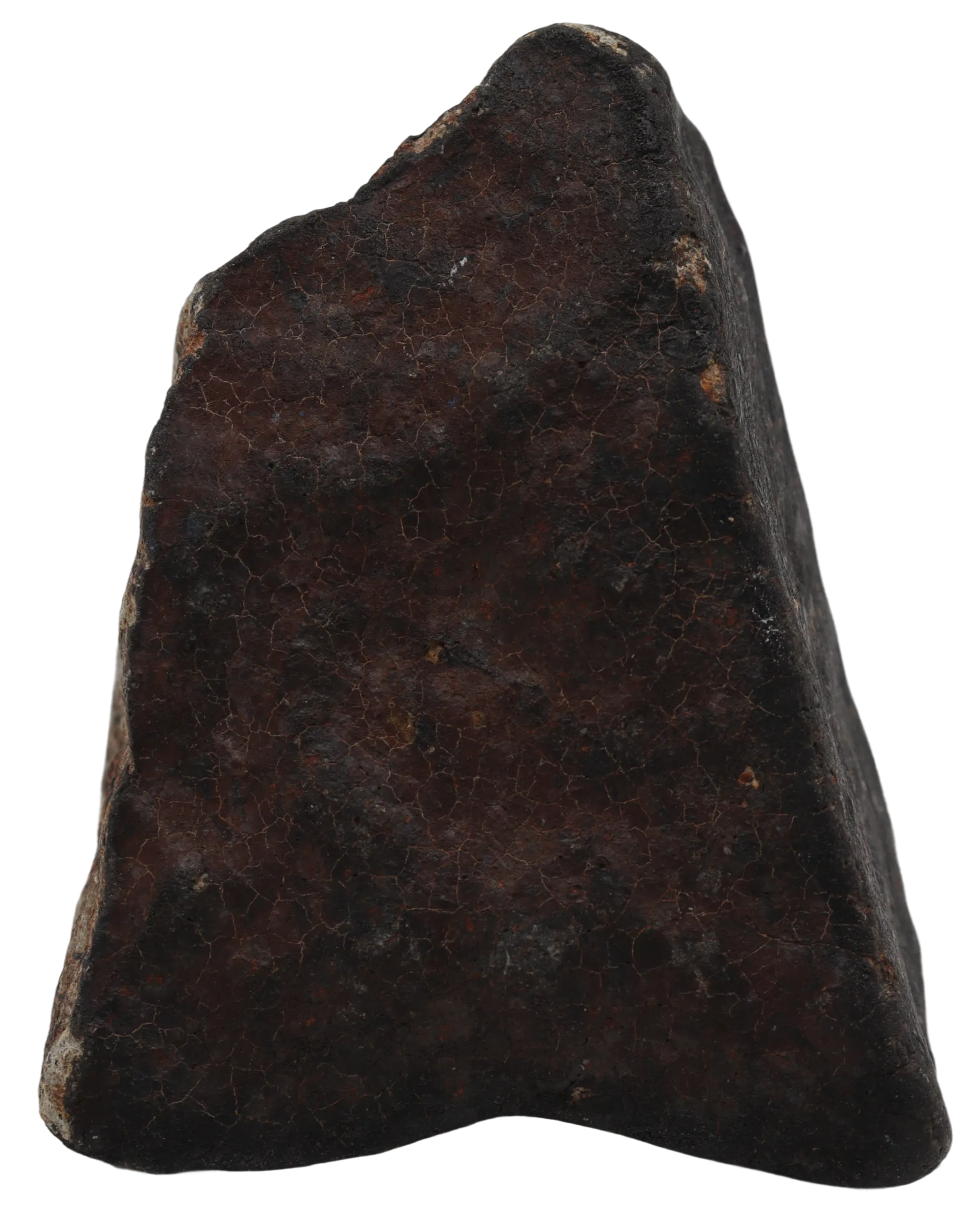 Ghadamis 247,18 g (HAH 346)  Ordinary Chondrite (L). - MBS meteorite 