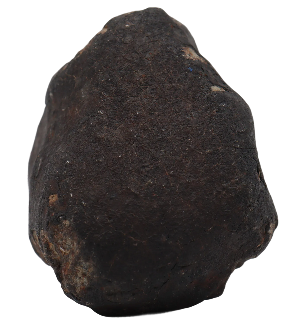 Ghadamis 153,94 g (HAH 346) Ordinary Chondrite (L). - MBS meteorite 