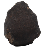 Ghadamis 153,94 g (HAH 346) Ordinary Chondrite (L). - MBS meteorite 