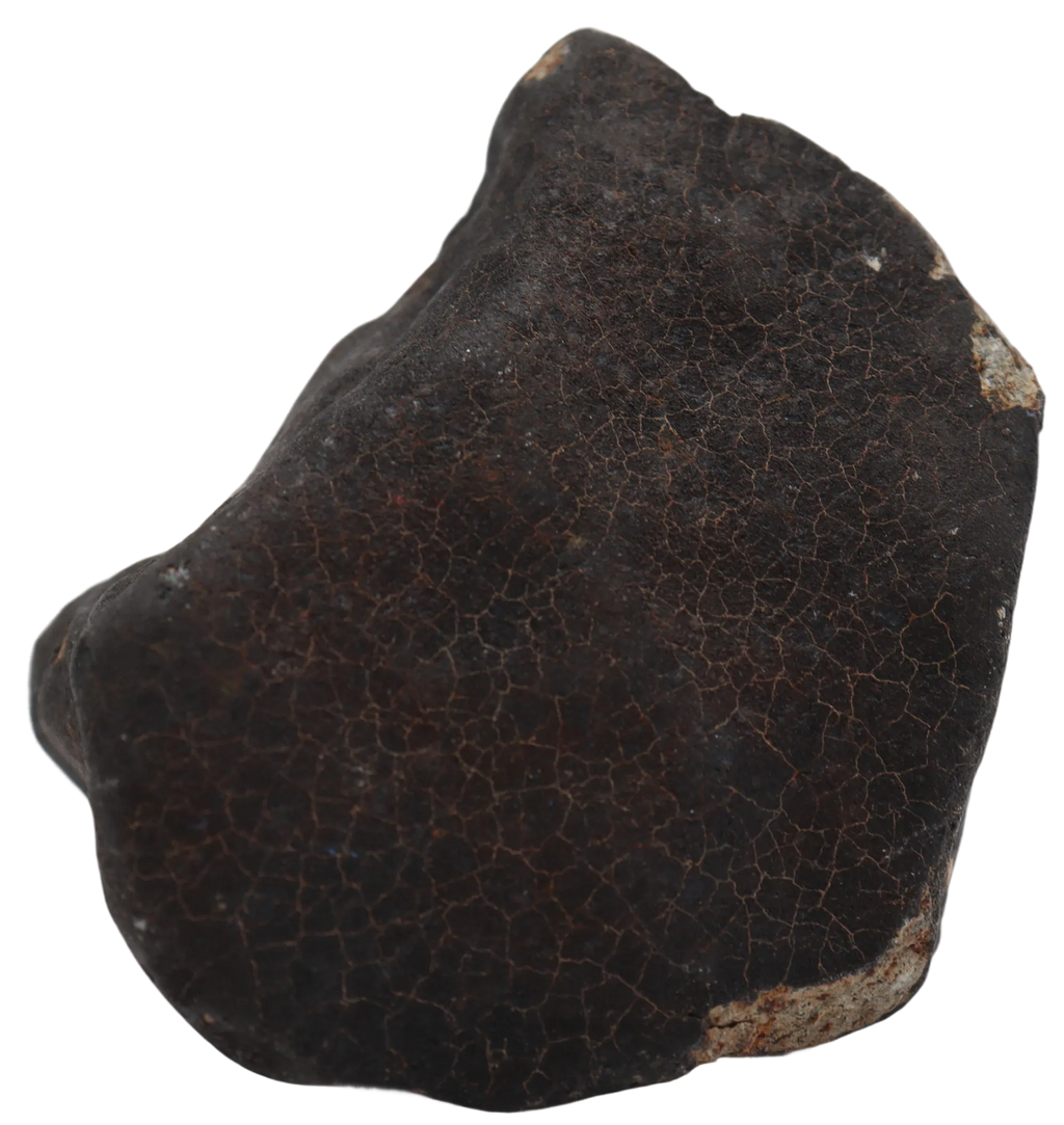 Ghadamis 214,92 g (HAH 346) Ordinary Chondrite (L). - MBS meteorite 