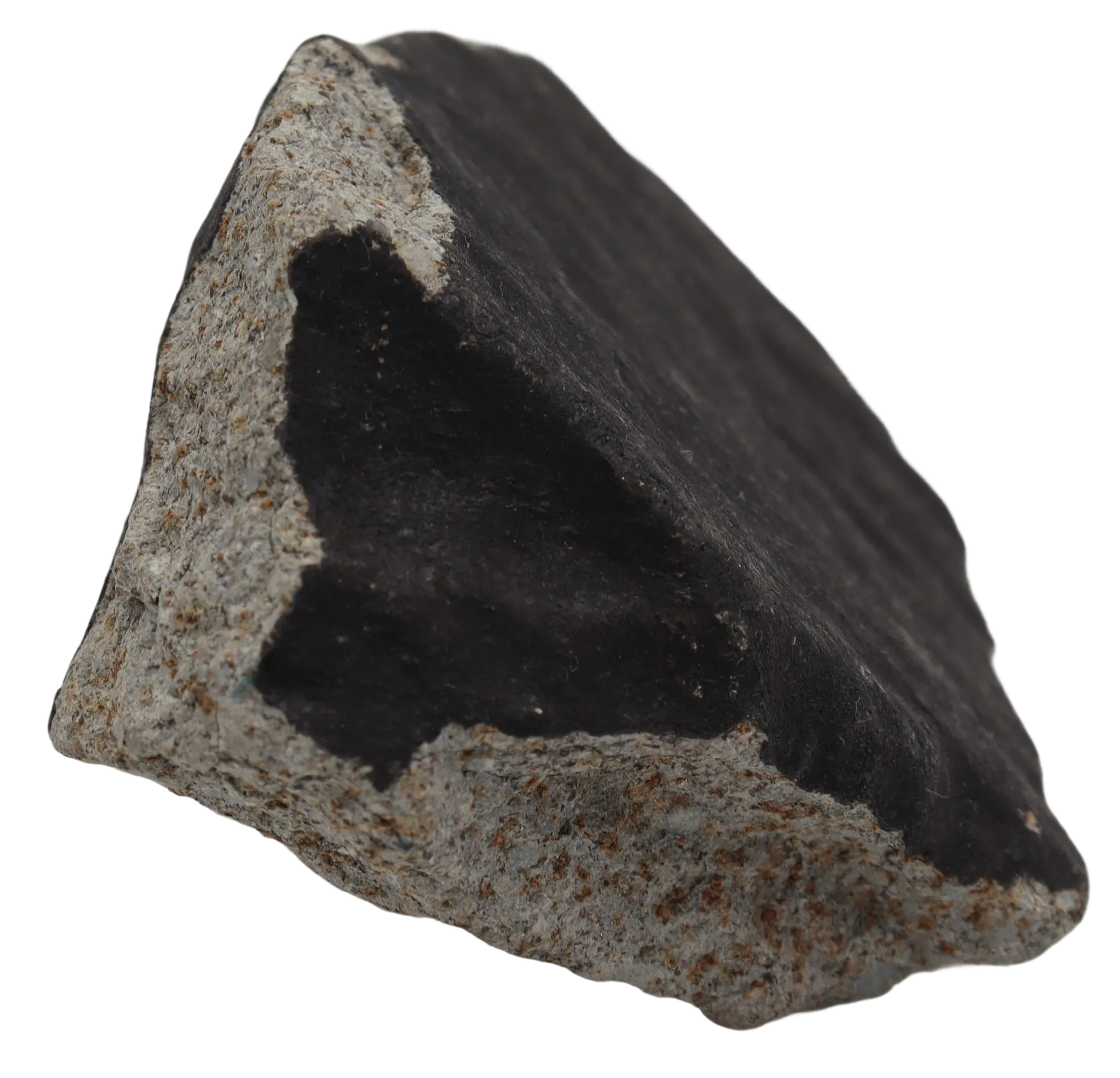 Ghadamis 321,42 g (HAH 346) Ordinary Chondrite (L). - MBS meteorite 