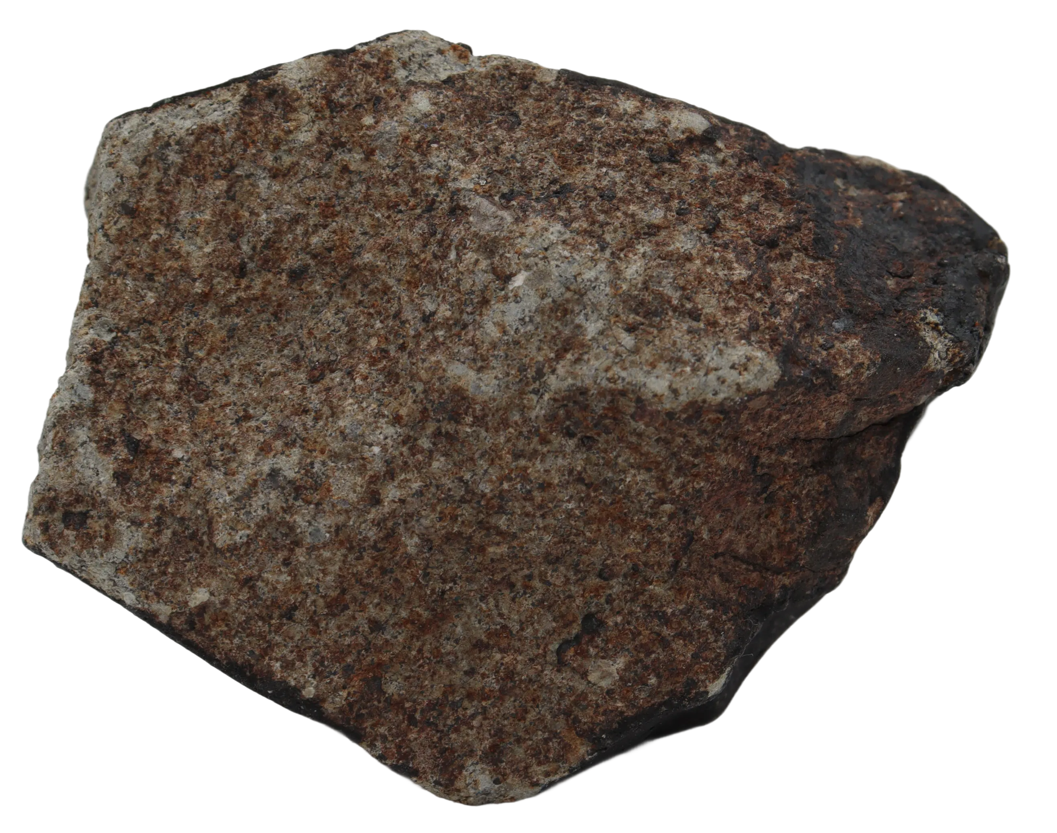 Ghadamis (194,33 g HAH 346) Ordinary Chondrite (L). - MBS meteorite 
