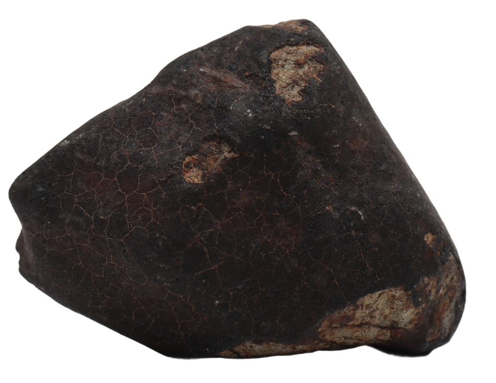 Ghadamis 153,94 g (HAH 346) Ordinary Chondrite (L). - MBS meteorite 