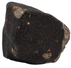 Ghadamis 214,92 g (HAH 346) Ordinary Chondrite (L). - MBS meteorite 
