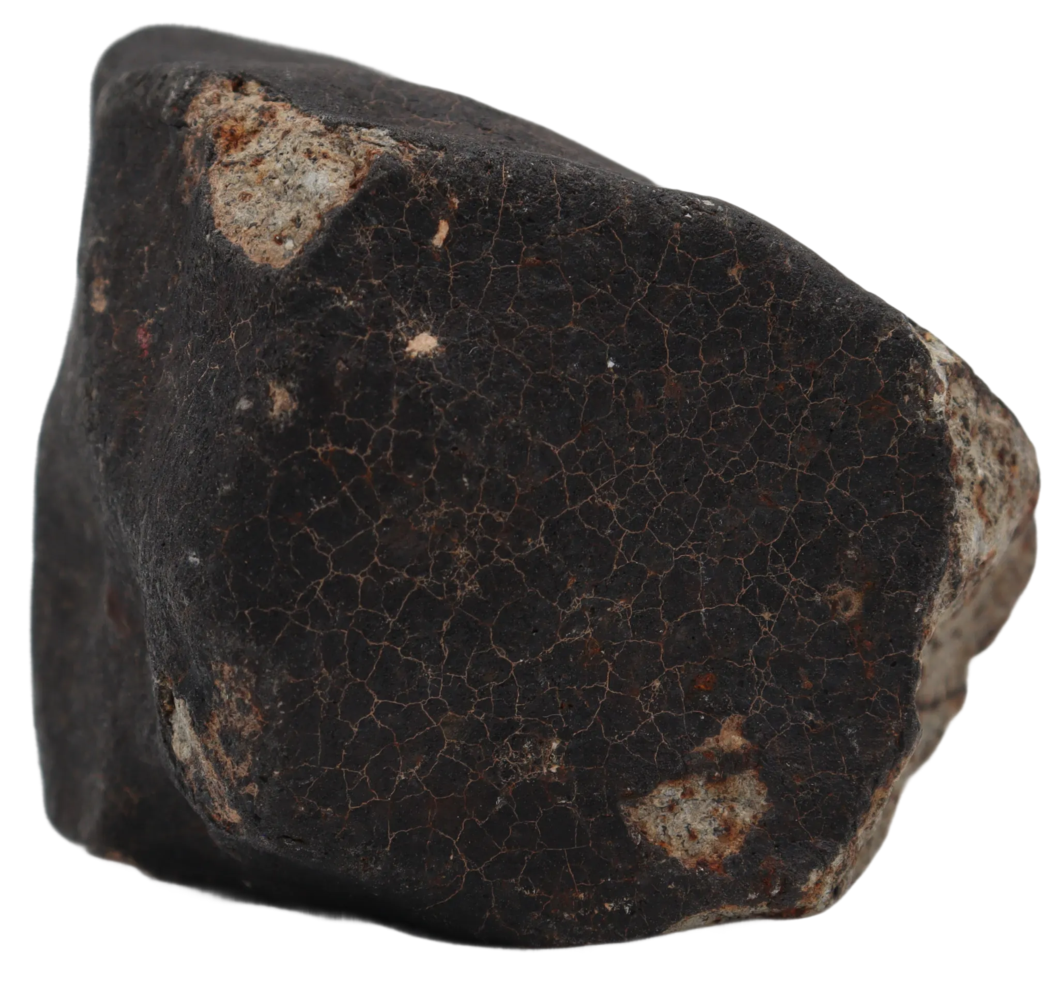 Ghadamis 214,92 g (HAH 346) Ordinary Chondrite (L). - MBS meteorite 