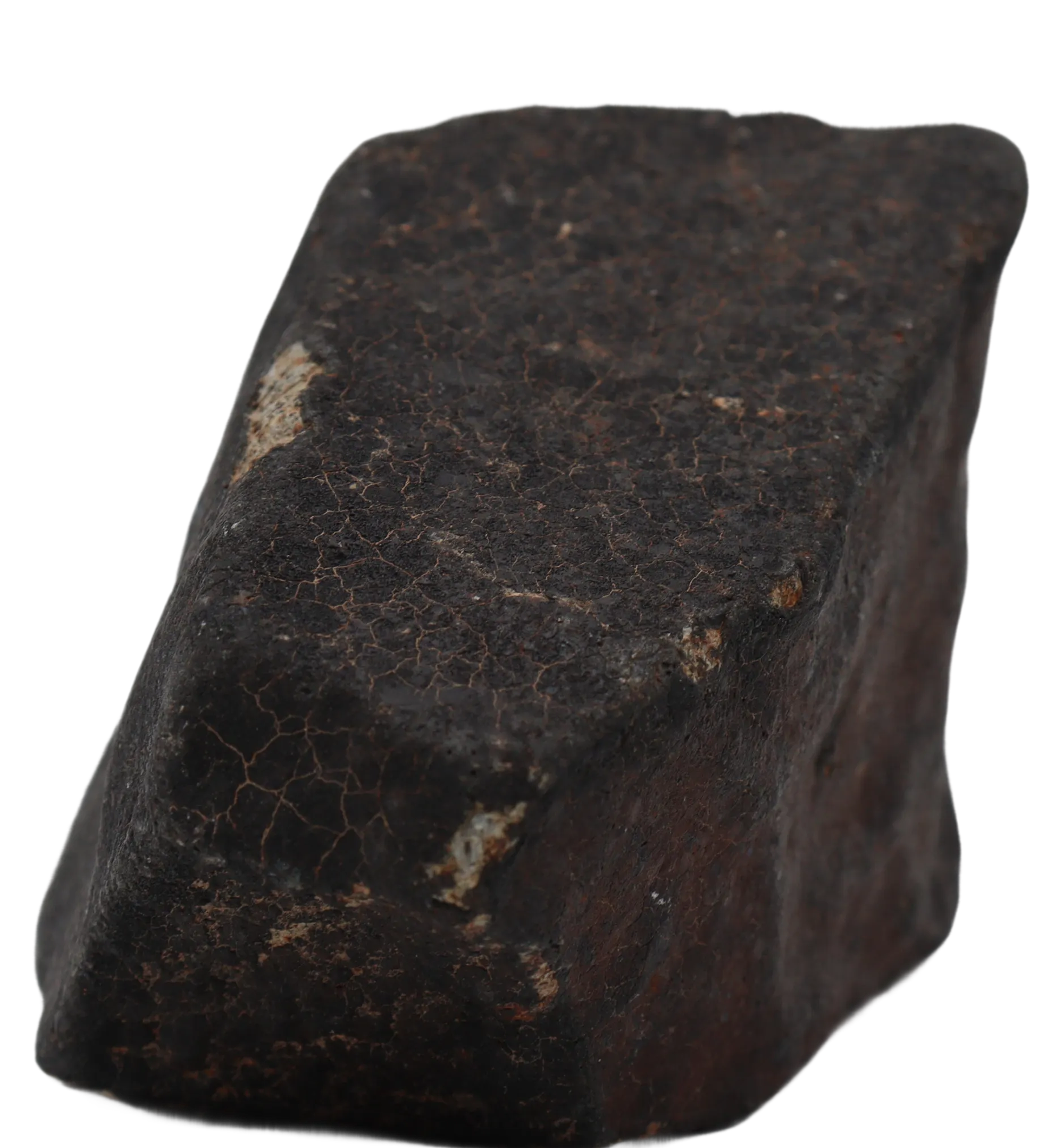 Ghadamis 247,18 g (HAH 346)  Ordinary Chondrite (L). - MBS meteorite 