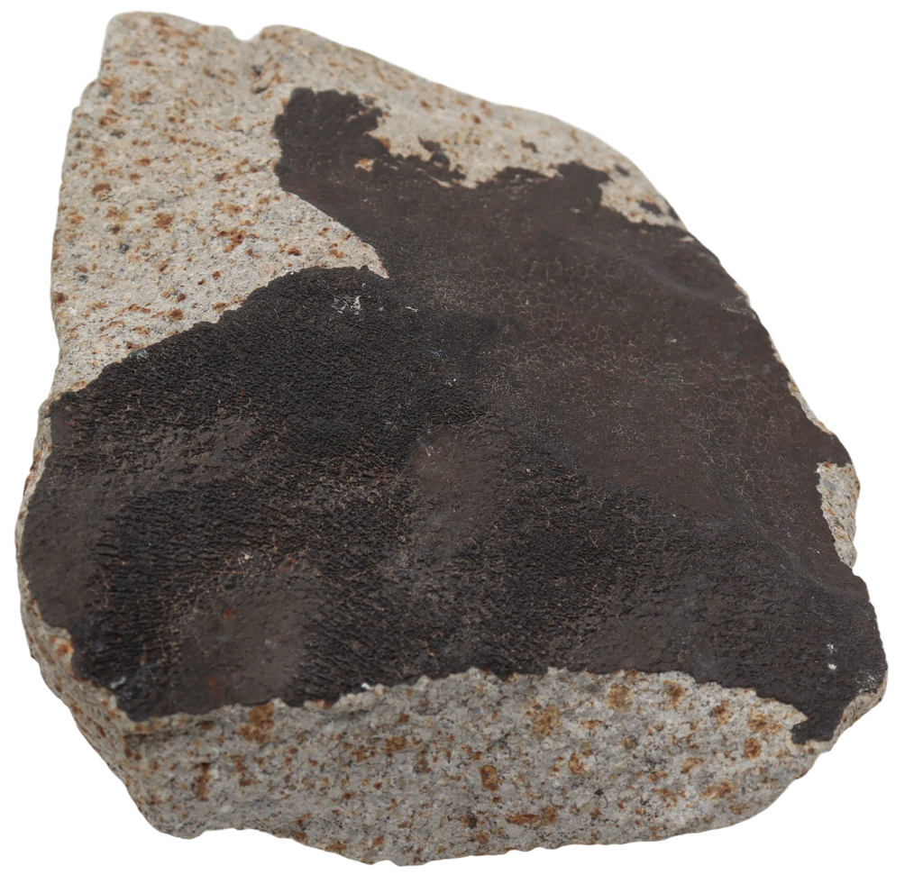 Ghadamis 986 g (HAH 346) Ordinary Chondrite (L) . - MBS meteorite 