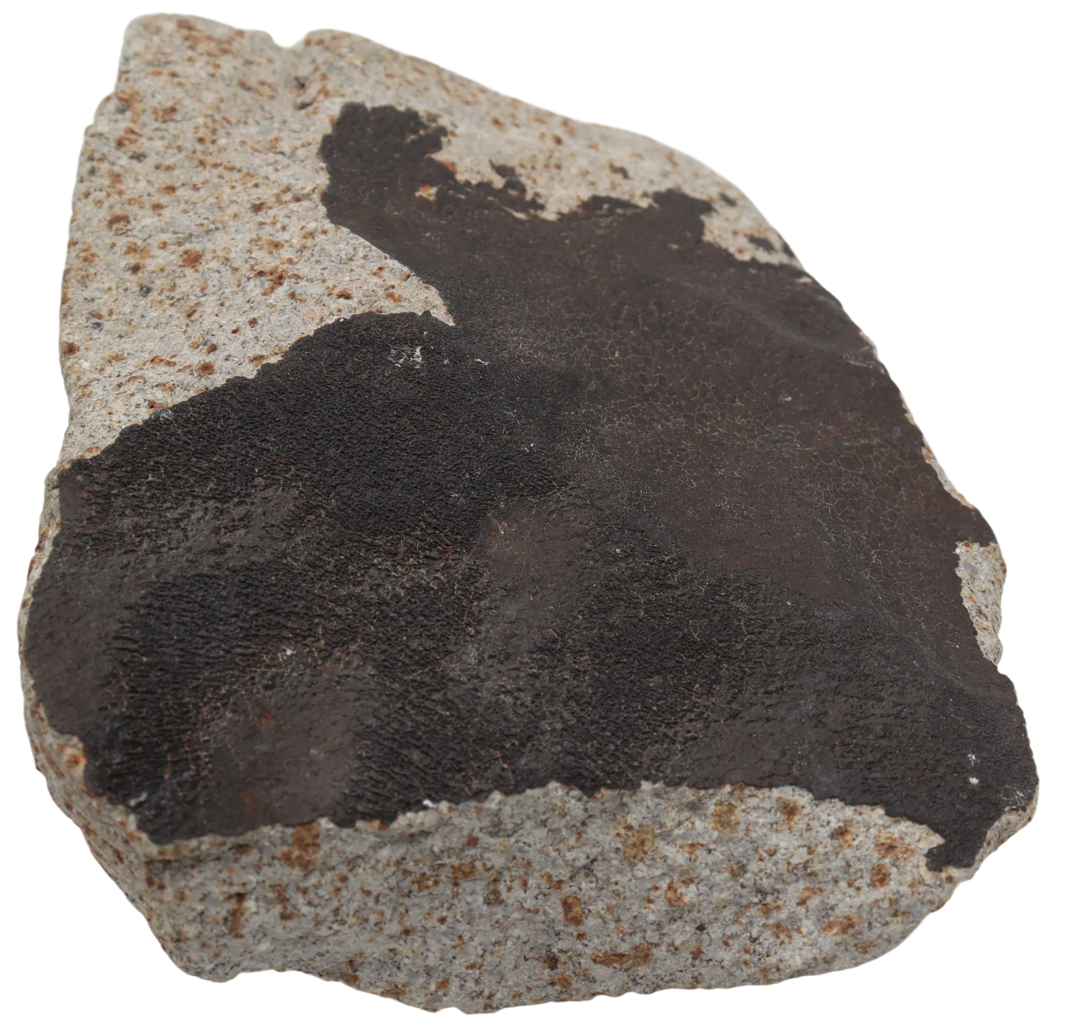 Ghadamis 986 g (HAH 346) Ordinary Chondrite (L) . - MBS meteorite 