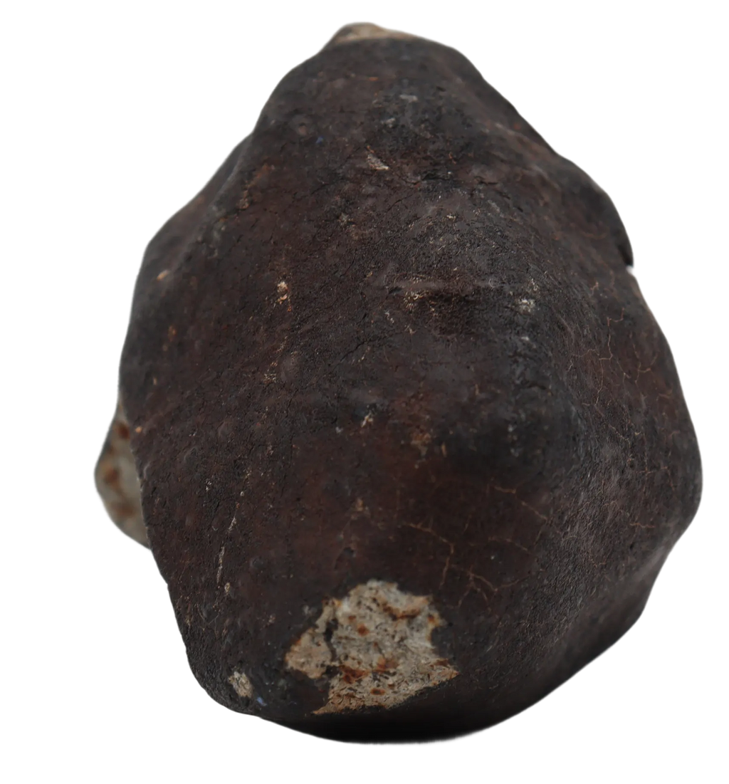 Ghadamis 153,94 g (HAH 346) Ordinary Chondrite (L). - MBS meteorite 