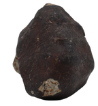 Ghadamis 153,94 g (HAH 346) Ordinary Chondrite (L). - MBS meteorite 