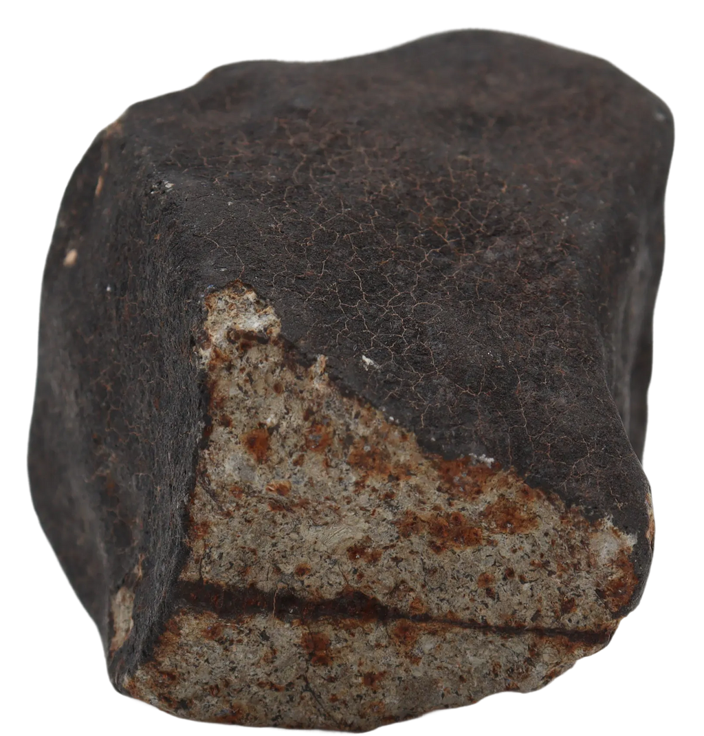 Ghadamis 214,92 g (HAH 346) Ordinary Chondrite (L). - MBS meteorite 