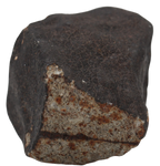 Ghadamis 214,92 g (HAH 346) Ordinary Chondrite (L). - MBS meteorite 