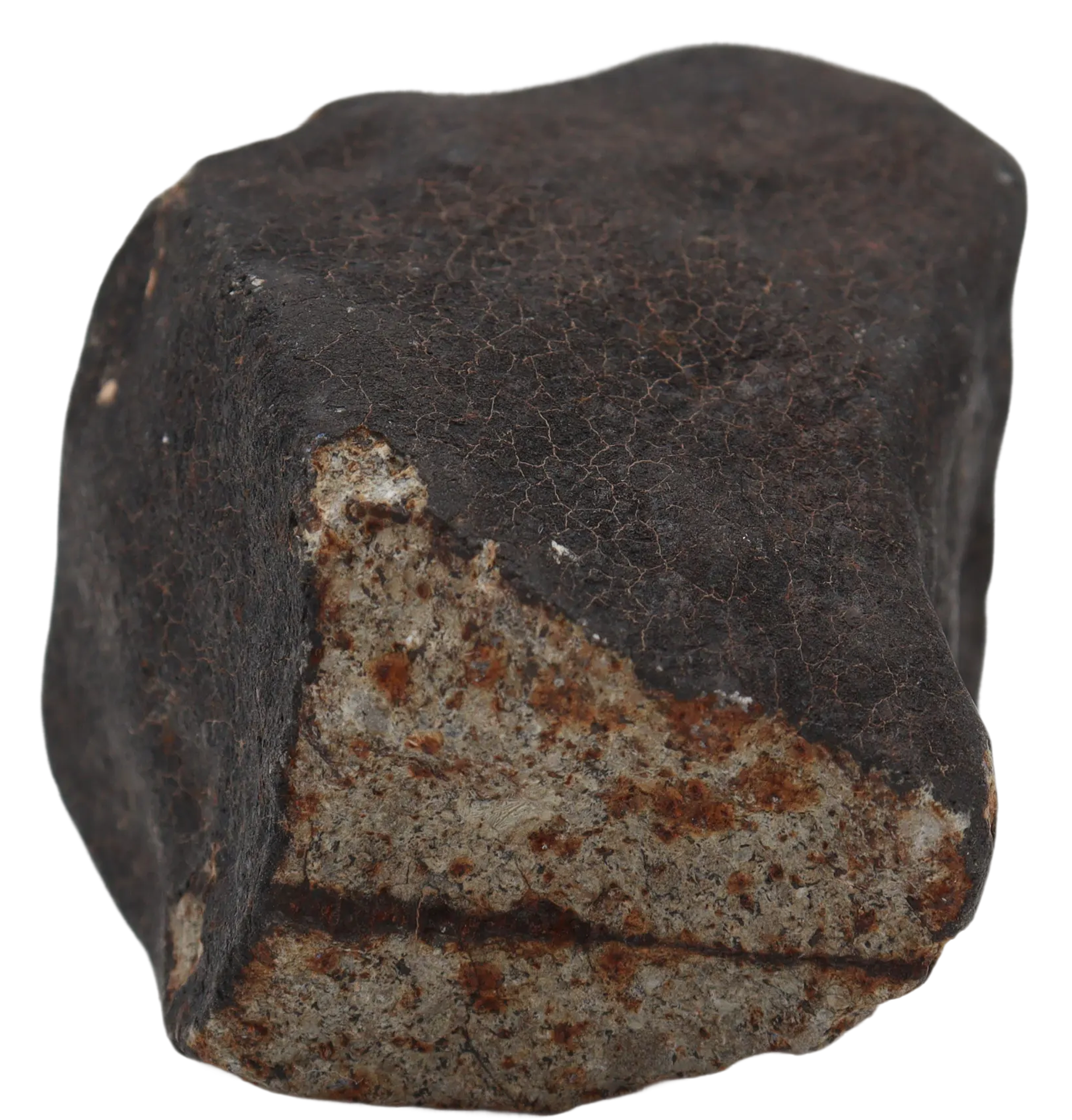 Ghadamis 214,92 g (HAH 346) Ordinary Chondrite (L). - MBS meteorite 