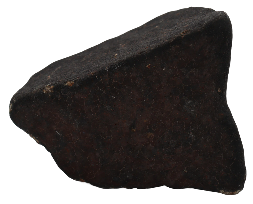 Ghadamis 247,18 g (HAH 346)  Ordinary Chondrite (L). - MBS meteorite 