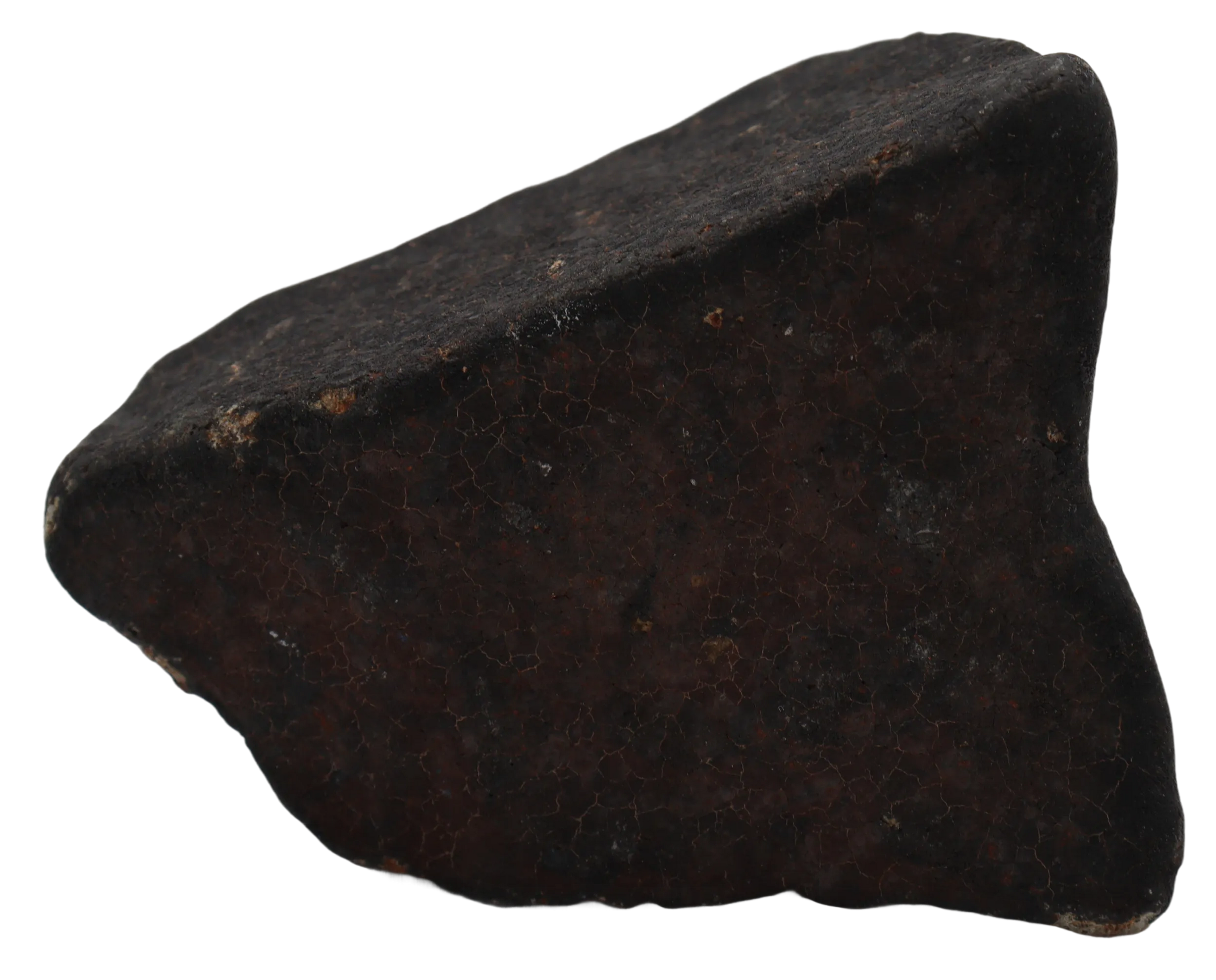 Ghadamis 247,18 g (HAH 346)  Ordinary Chondrite (L). - MBS meteorite 