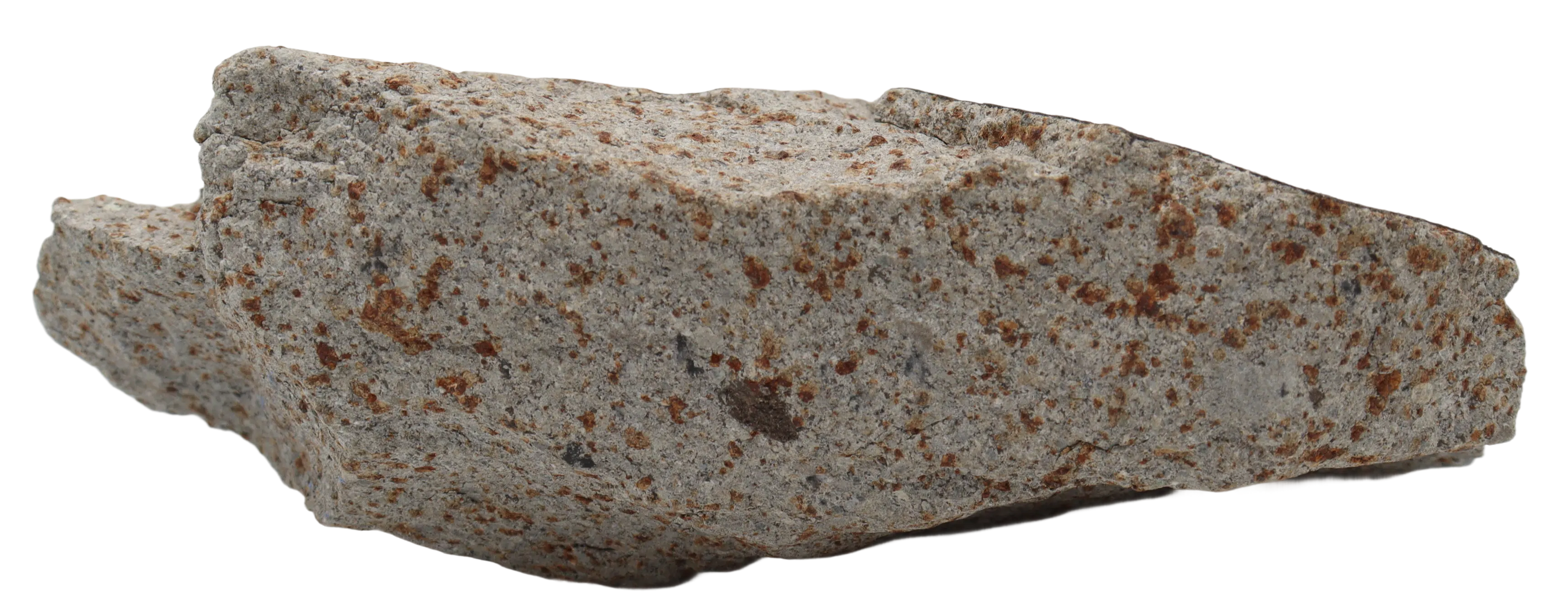 Ghadamis 986 g (HAH 346) Ordinary Chondrite (L) . - MBS meteorite 