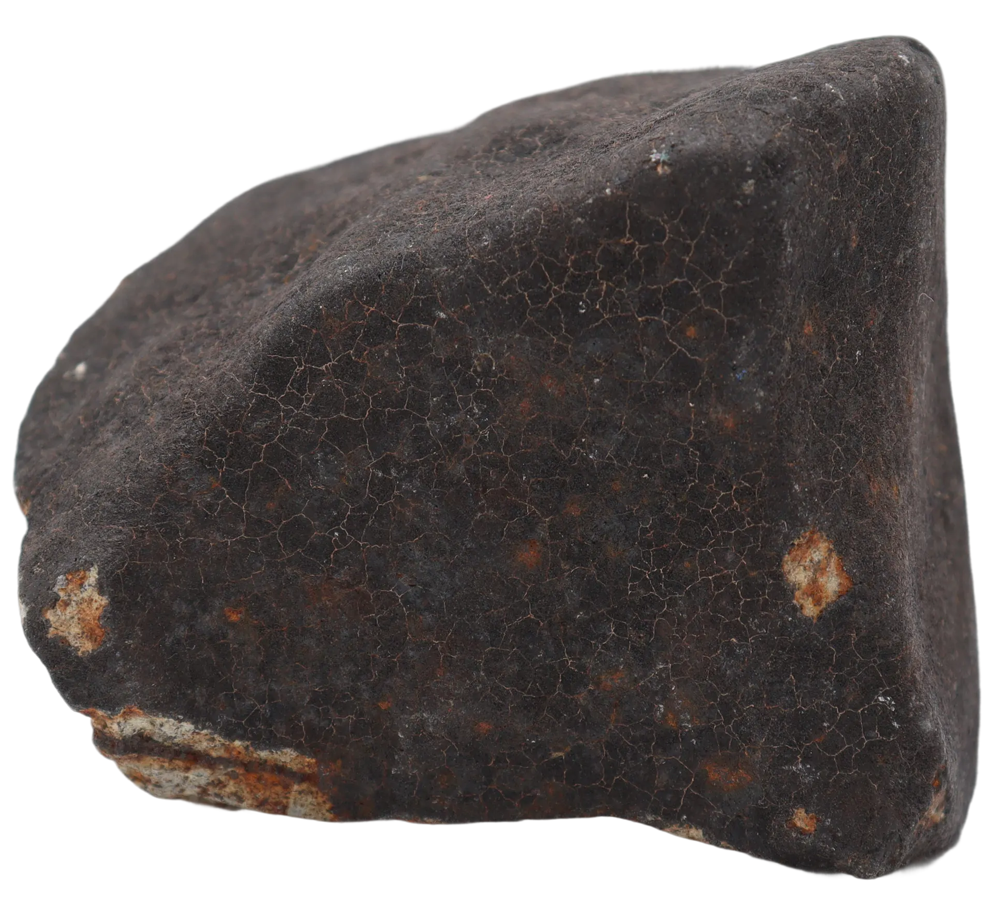 Ghadamis 214,92 g (HAH 346) Ordinary Chondrite (L). - MBS meteorite 